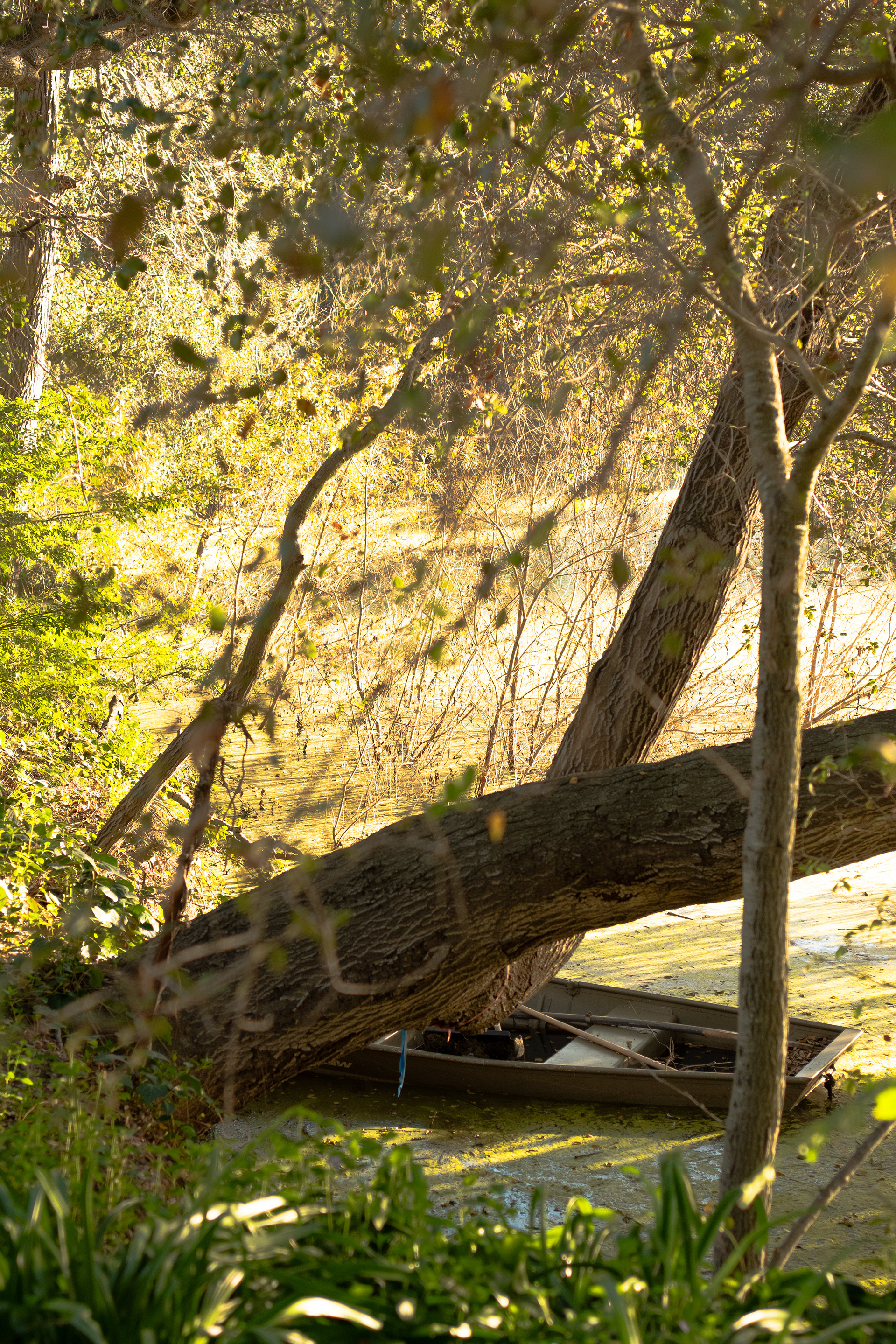 La Cañada Flintridge, CA - 2026