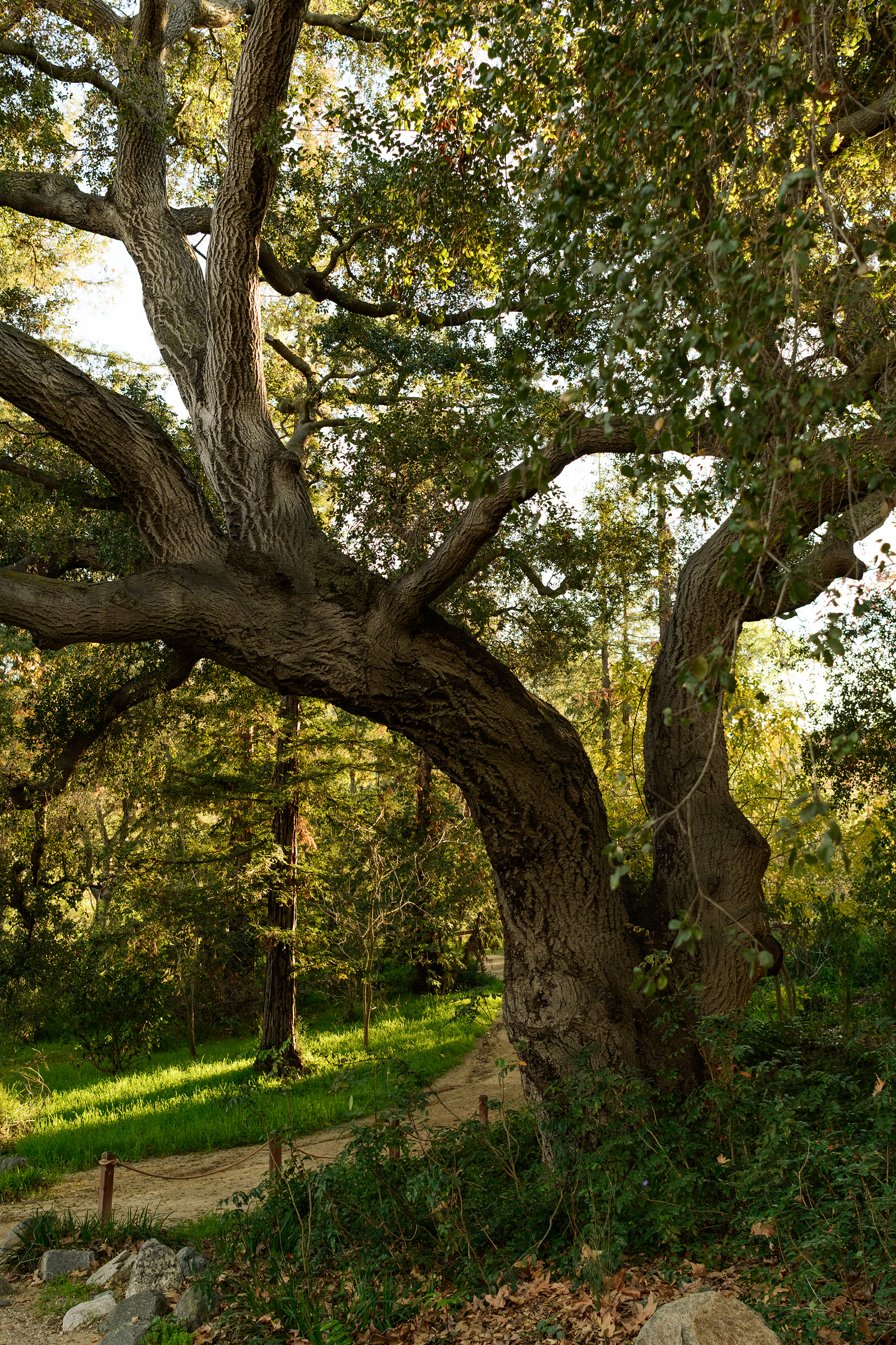 La Cañada Flintridge, CA - 2026