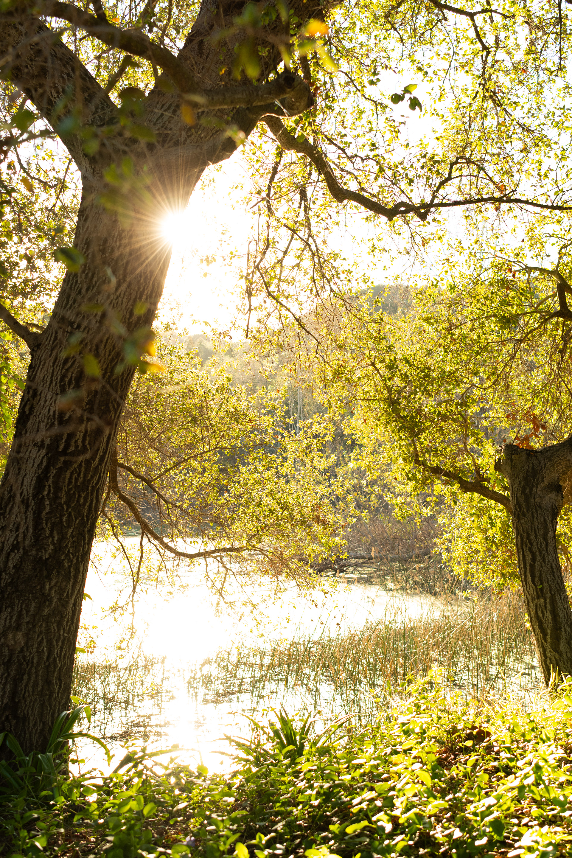 La Cañada Flintridge, CA - 2026