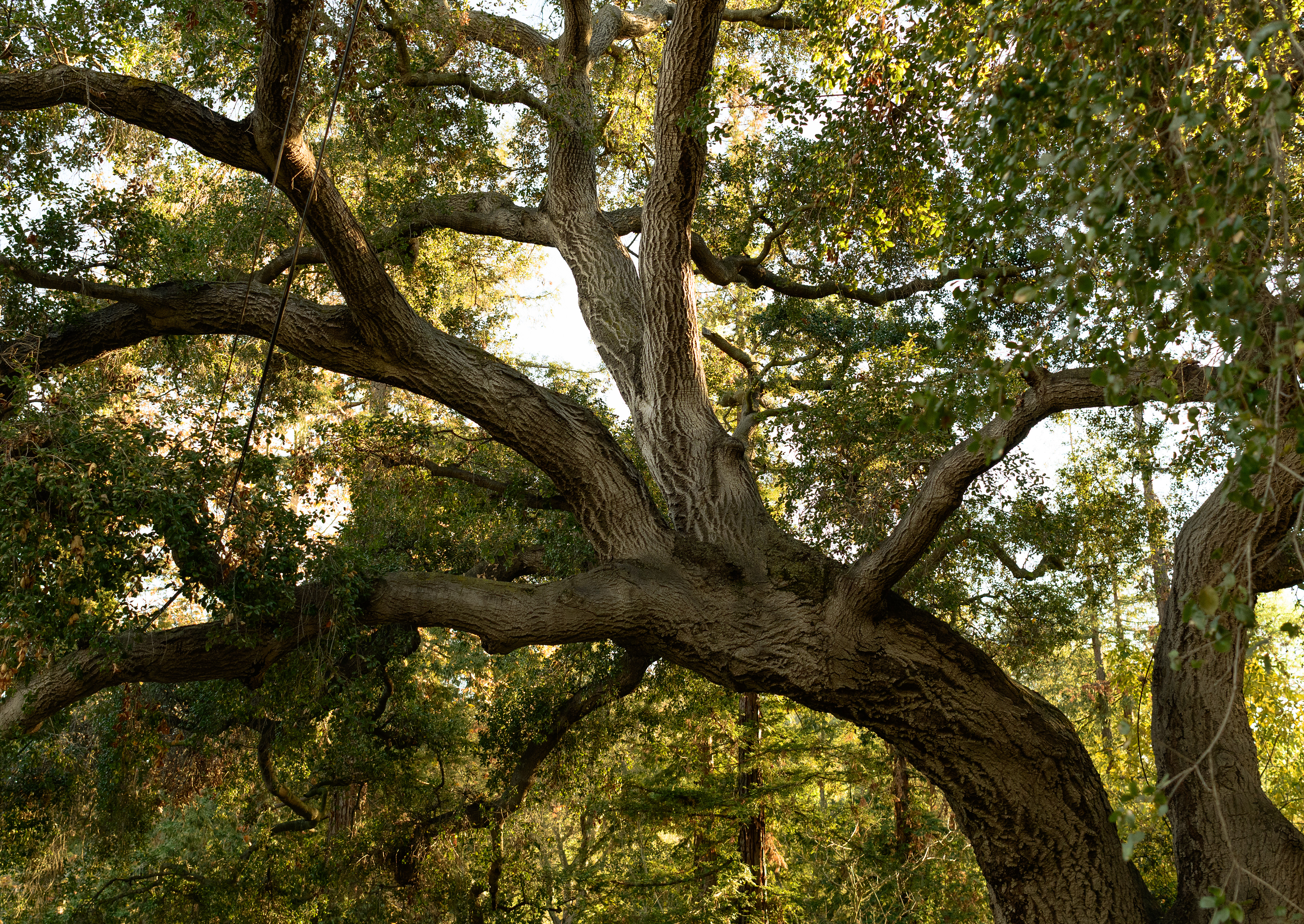 La Cañada Flintridge, CA - 2026