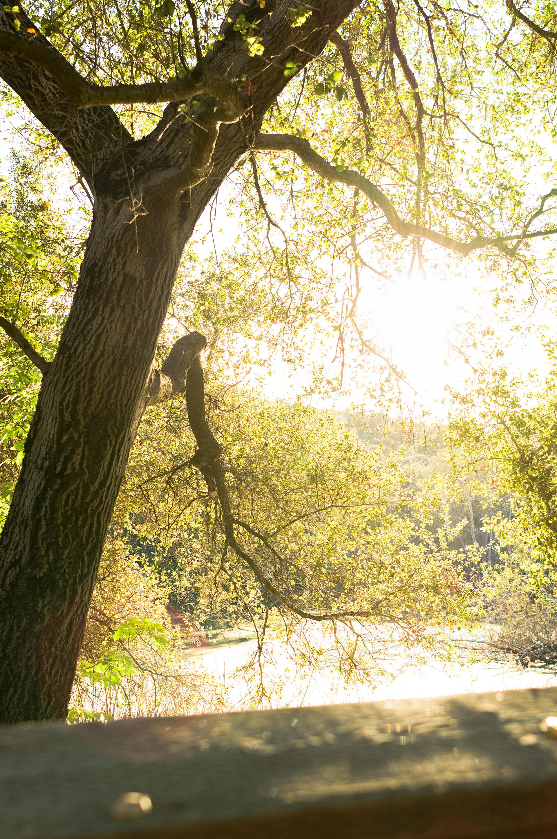 La Cañada Flintridge, CA - 2026