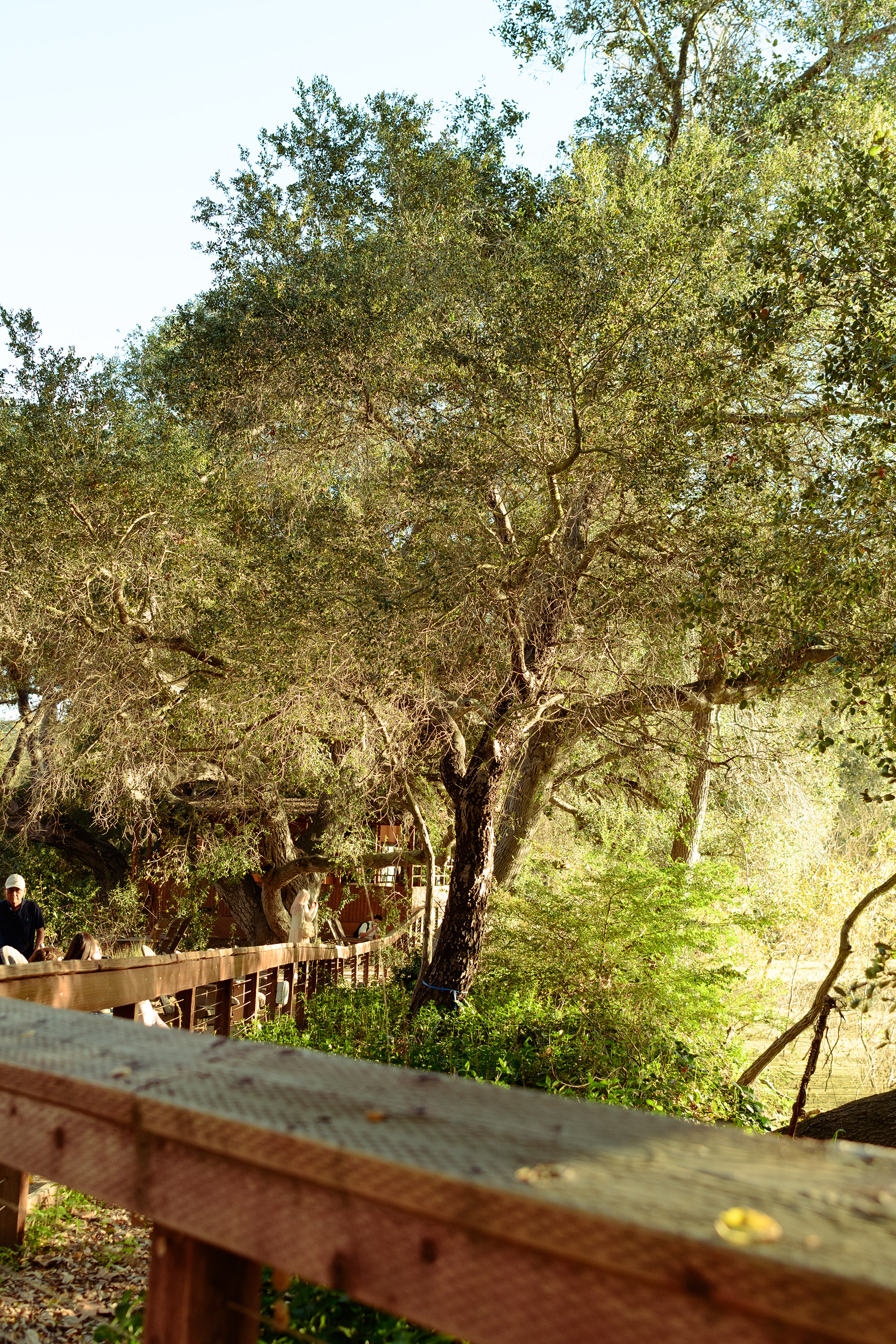 La Cañada Flintridge, CA - 2026