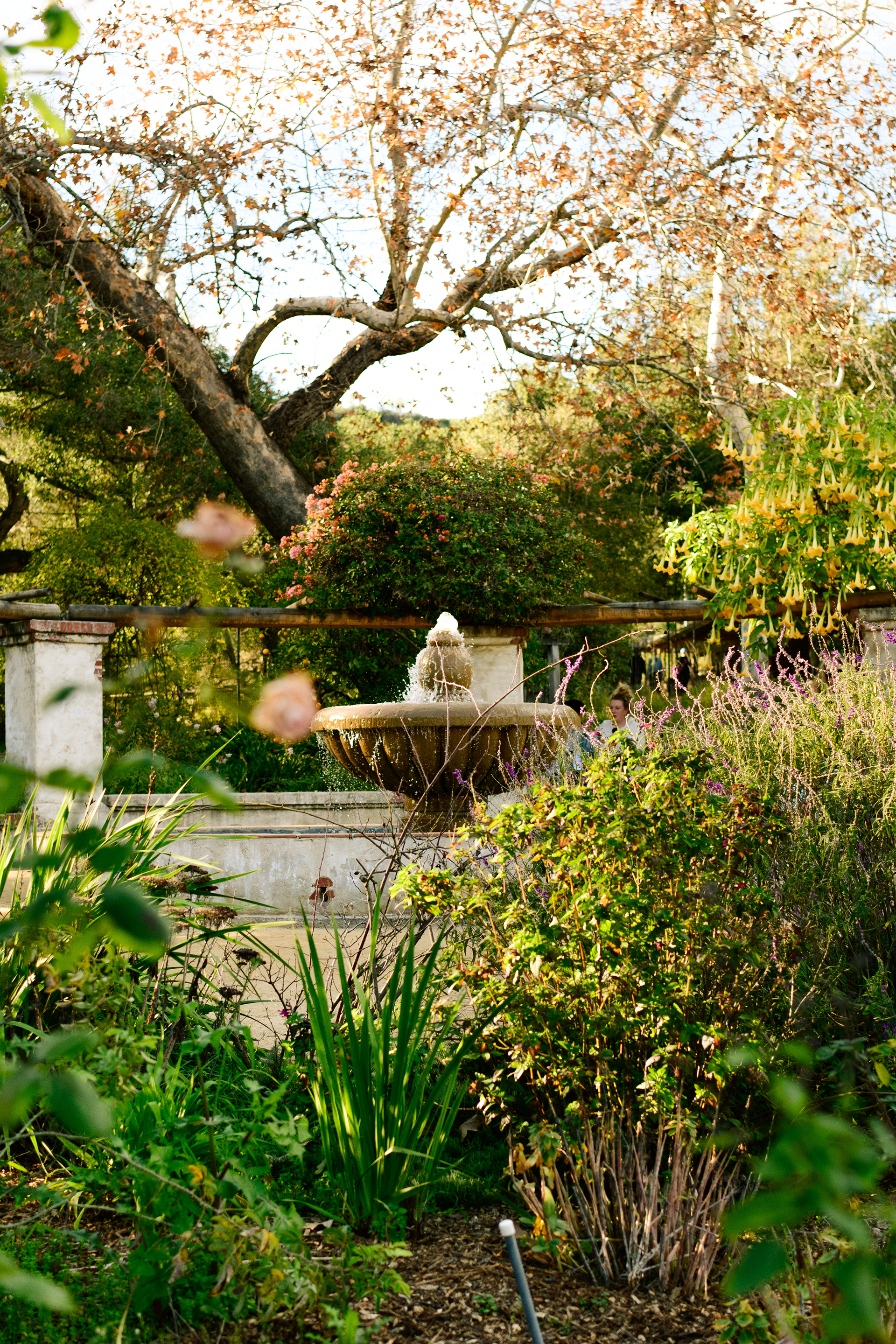 La Cañada Flintridge, CA - 2026