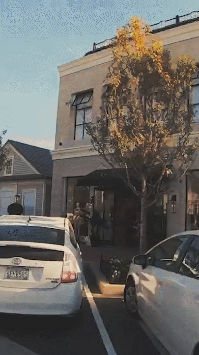 "Alo yoga, yoga together" | motion graphics