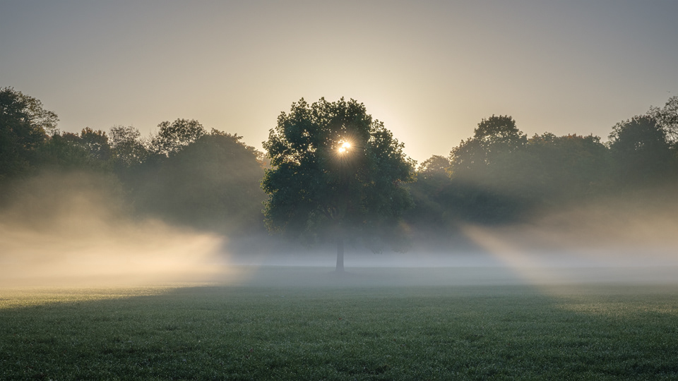 Daybreak, Englischer Garten, Munich, 2019.