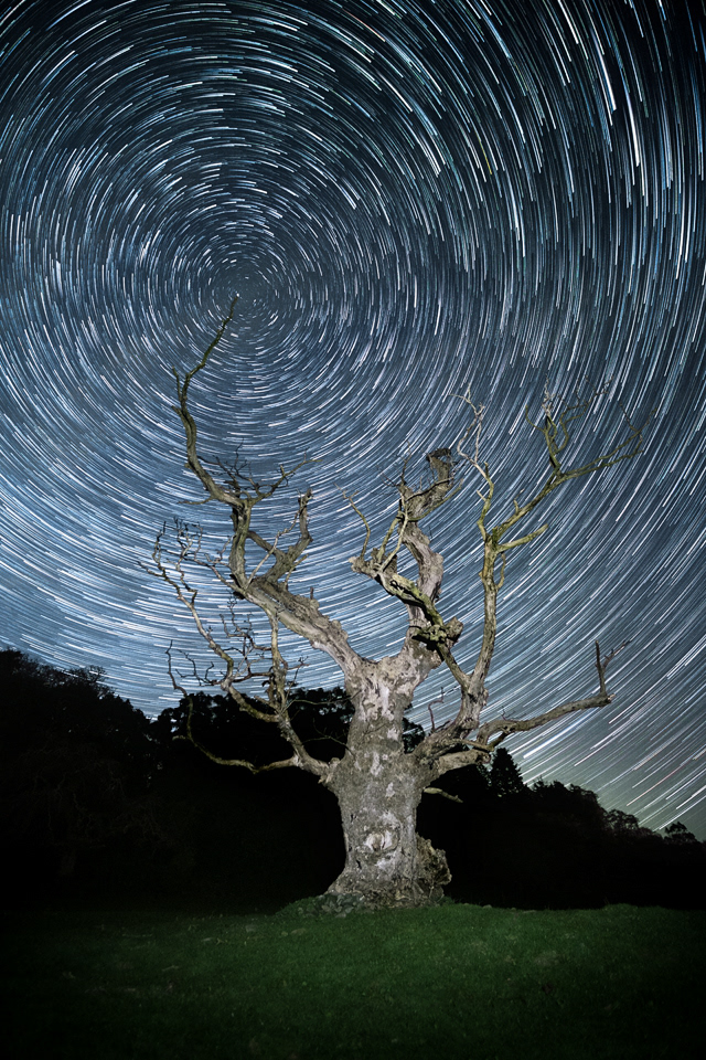 "To the Stars" Rhinns of Galloway, 2020.