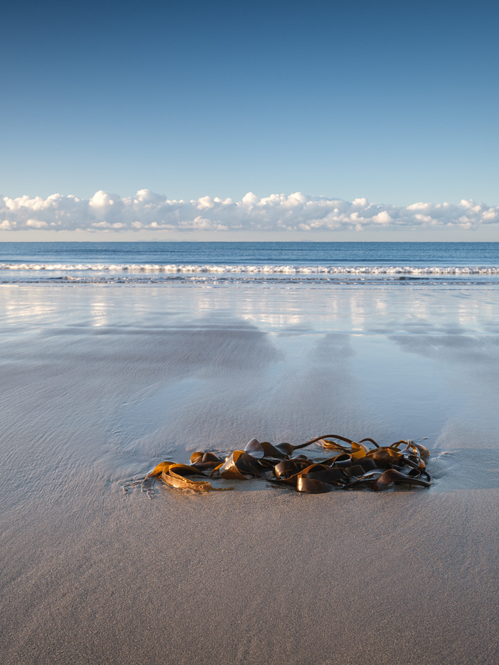 "Cold Beach", Rhinns of Galloway, 2021.