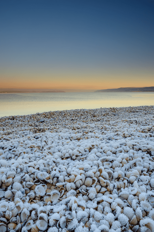 Cockle Shore Frost, Loch Ryan, Rhinns of Galloway, 2016.