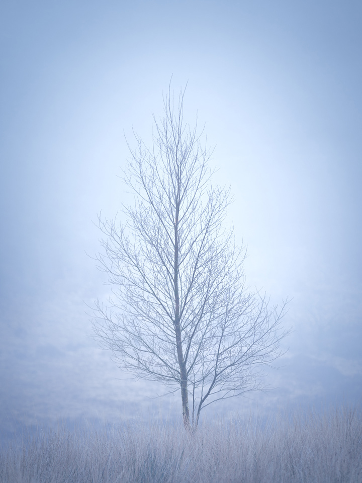 "Out in the Cold", Galloway Hills, 2020.