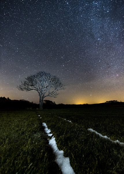 Path to the Stars, Rhinns of Galloway, 2017.