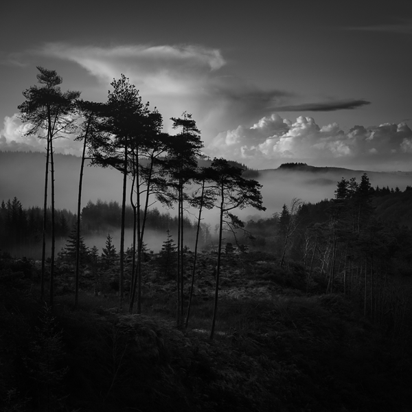 Glen of the Bar, Galloway Forest, 2017.