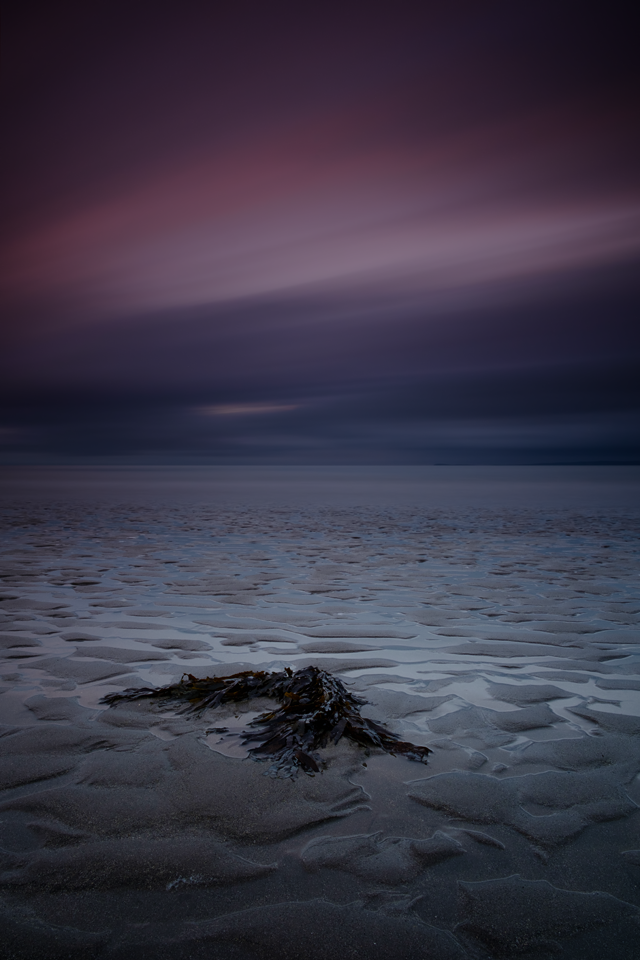 Auchenmalg, Rhinns of Galloway, 2017.