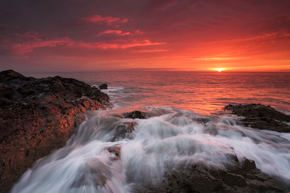 "Ocean Fire", Killantringan, Rhinns of Galloway, 2017.
