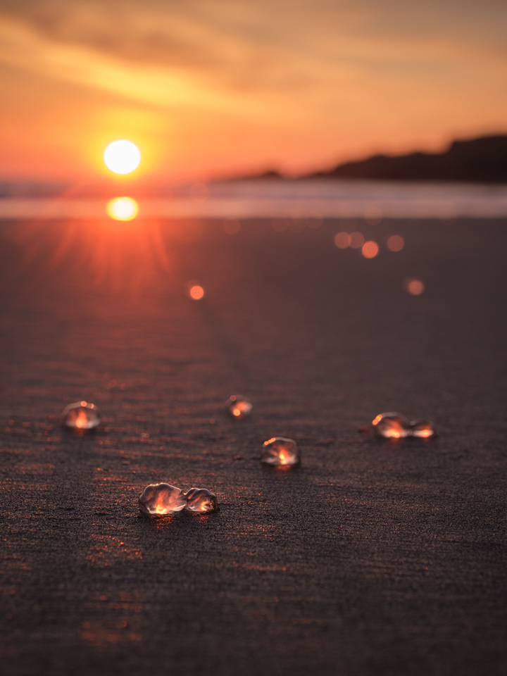 "Beach Jewels" (Sea Gooseberries), Rhinns of Galloway, 2020. 