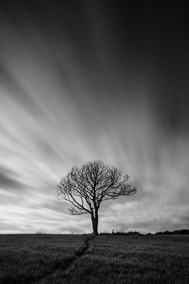 "Autumn's End", Port Logan, Rhinns of Galloway, 2017.