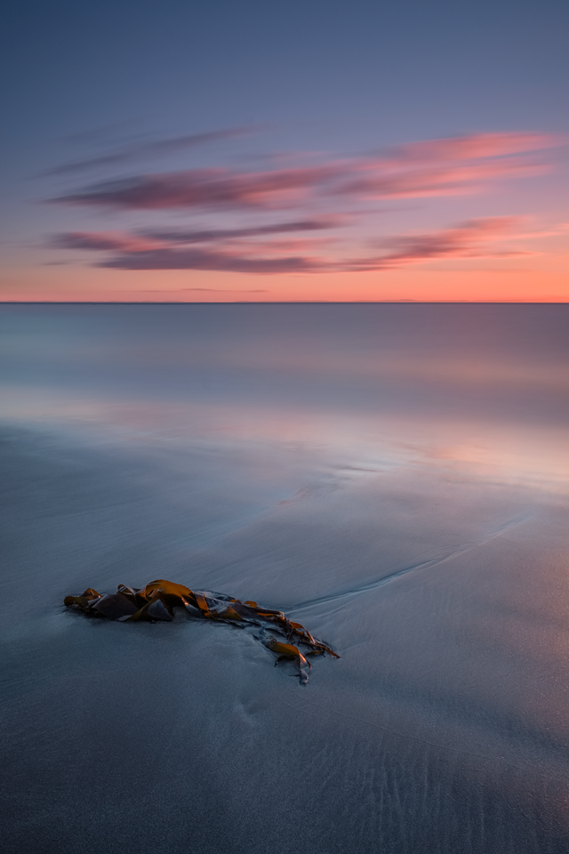 Ardwell Bay, Rhinns of Galloway, 2017.