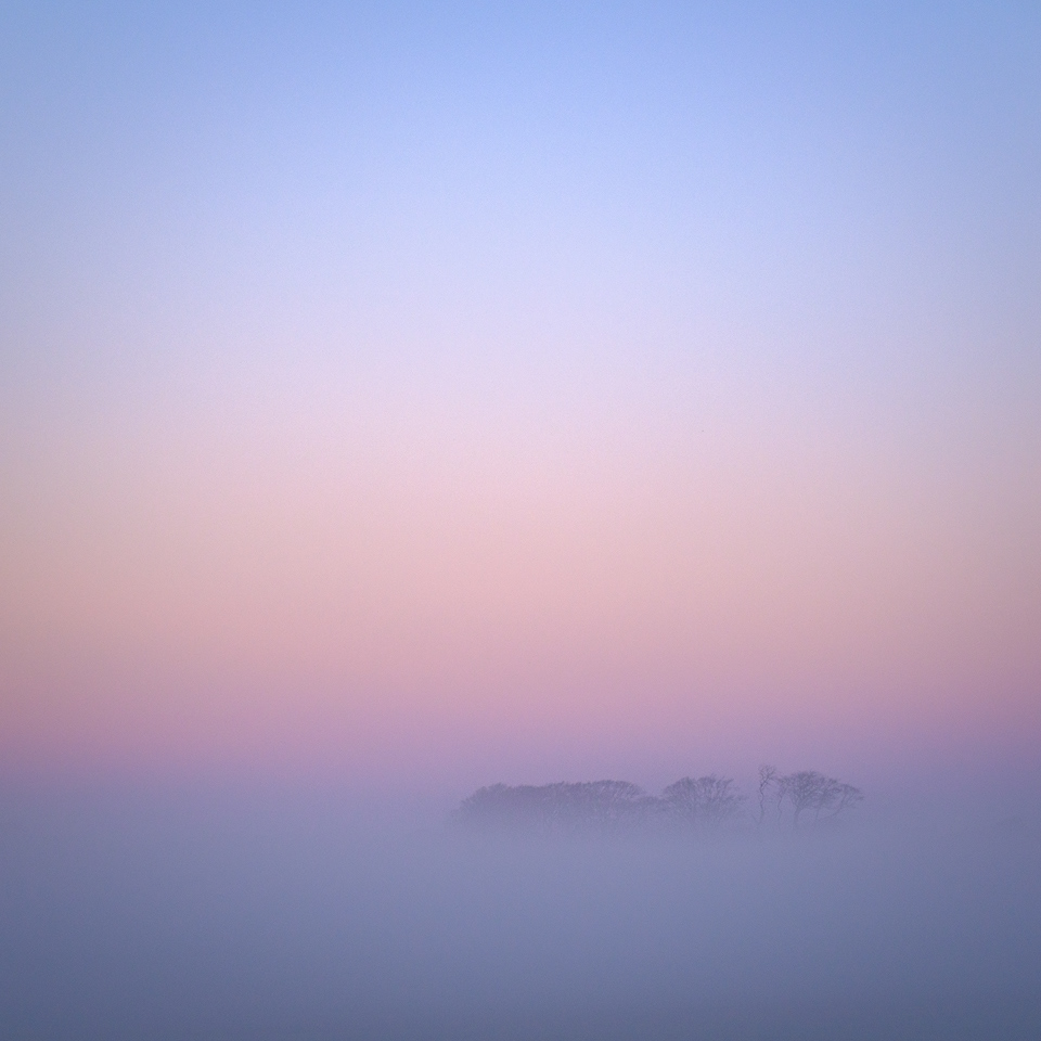 "Eminence", Rhinns of Galloway, 2020.