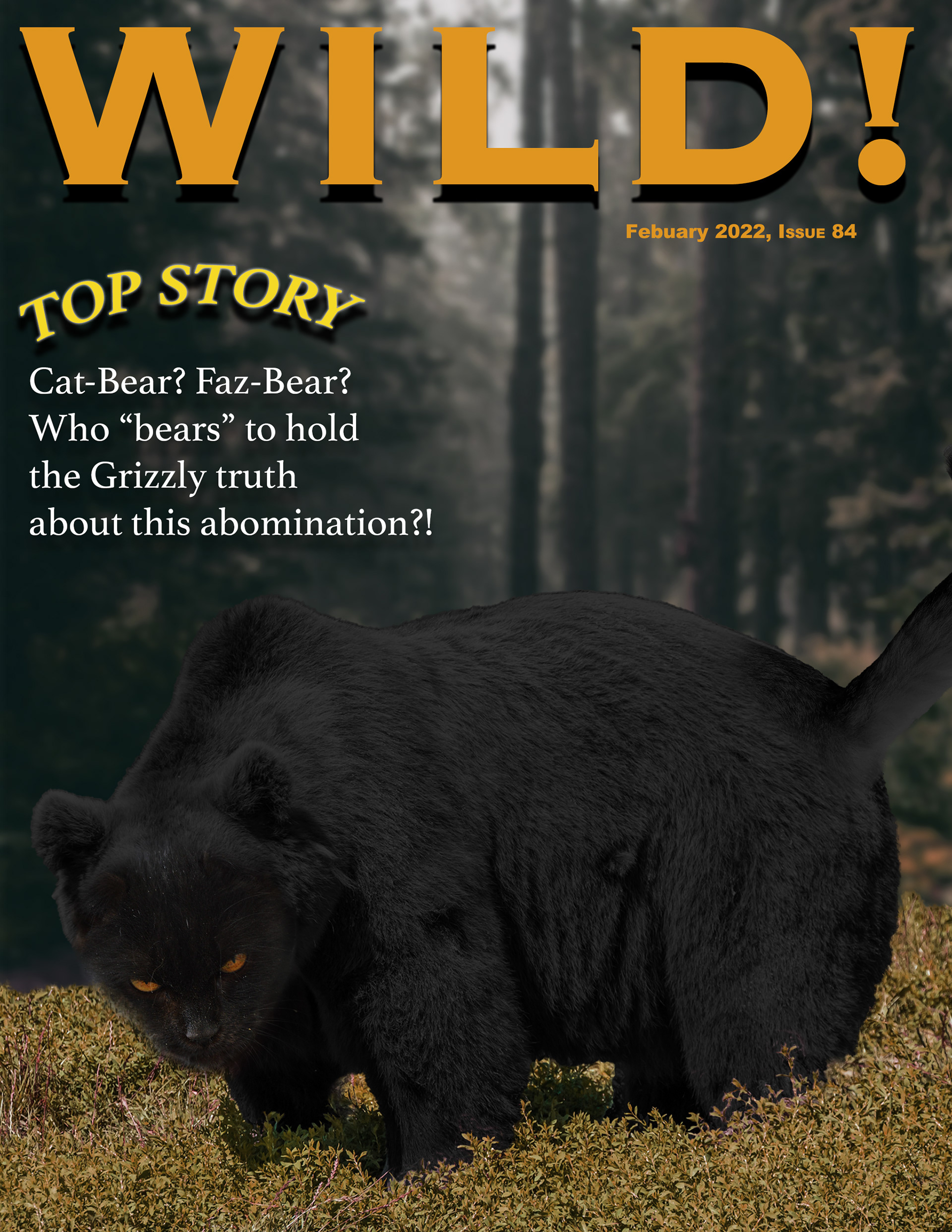 Cat-Bear Photo Mash up (February 2022)