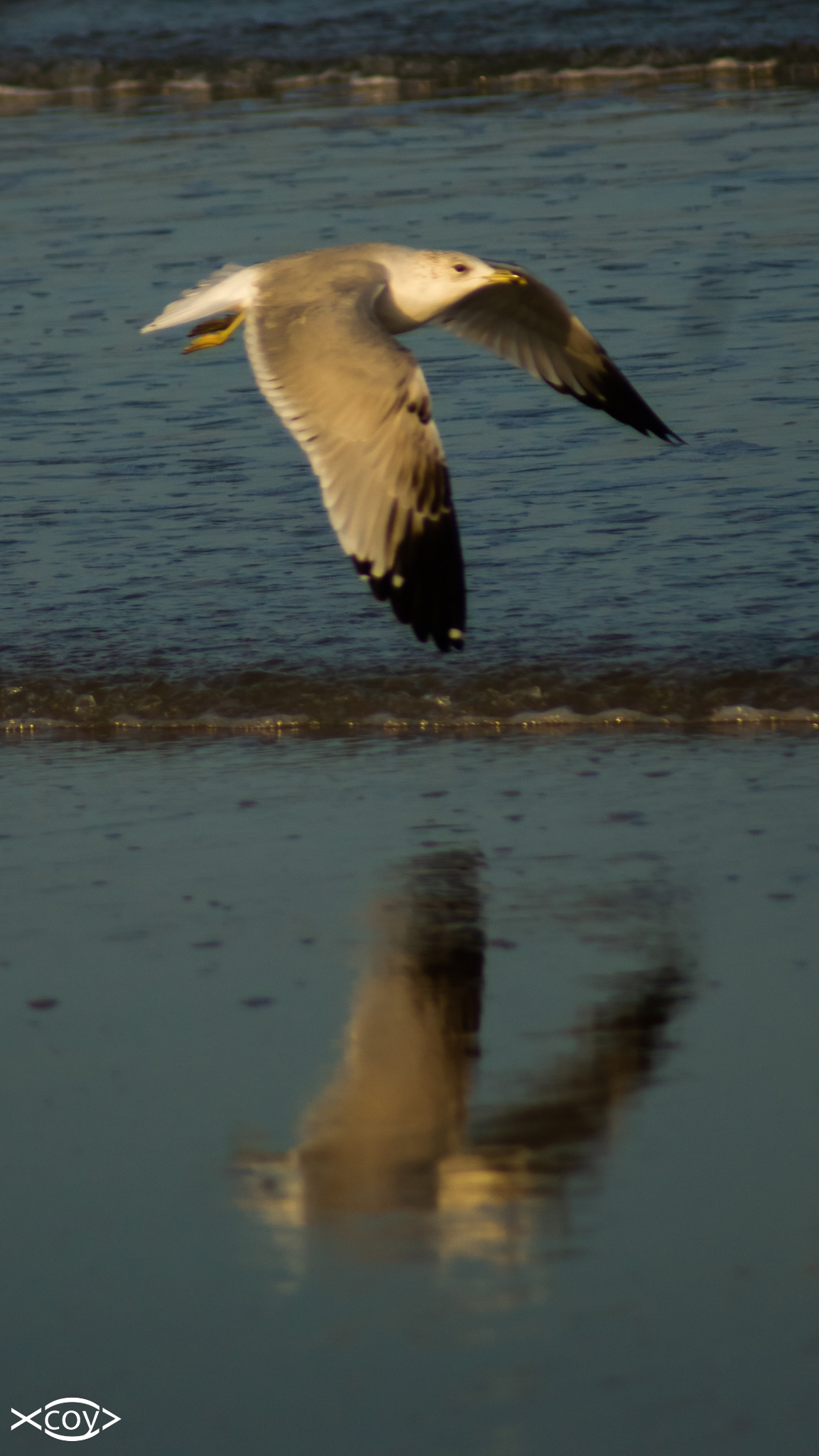 Double Flight