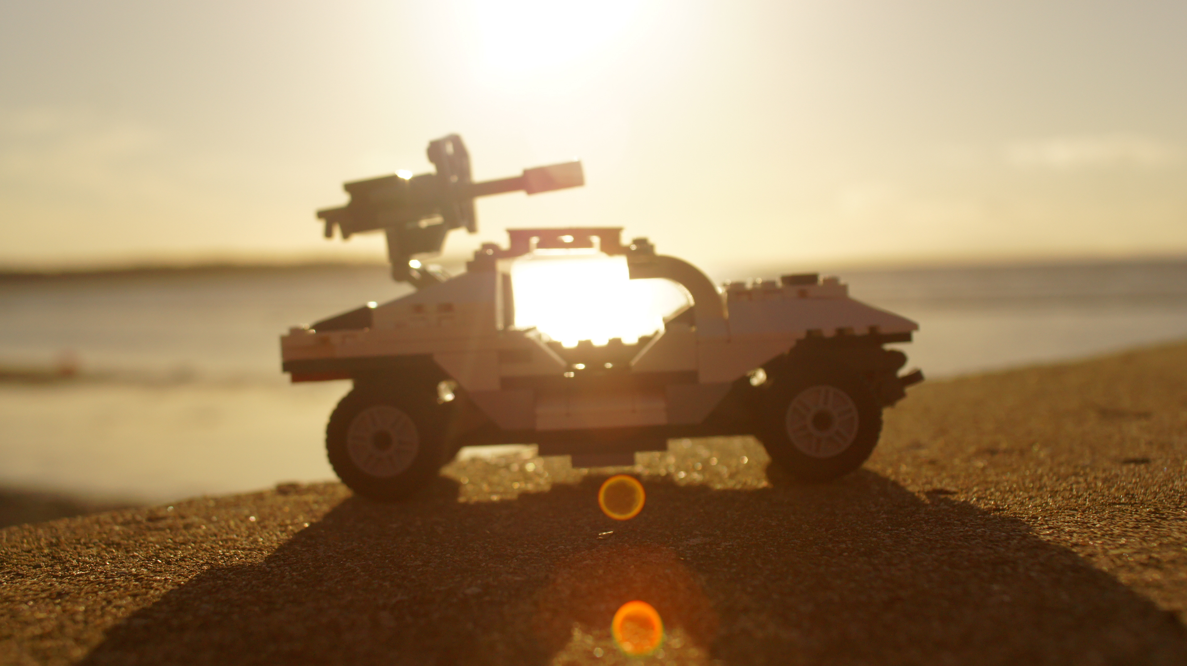 Warthog Sunset, 2019