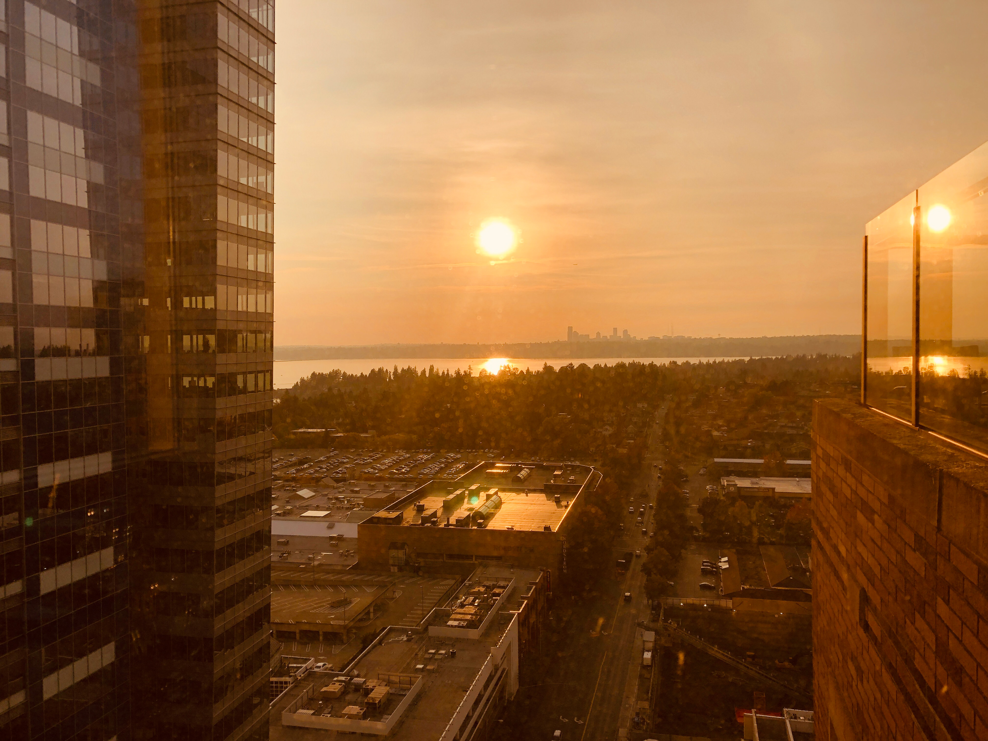 Bellevue Sunset, 2019