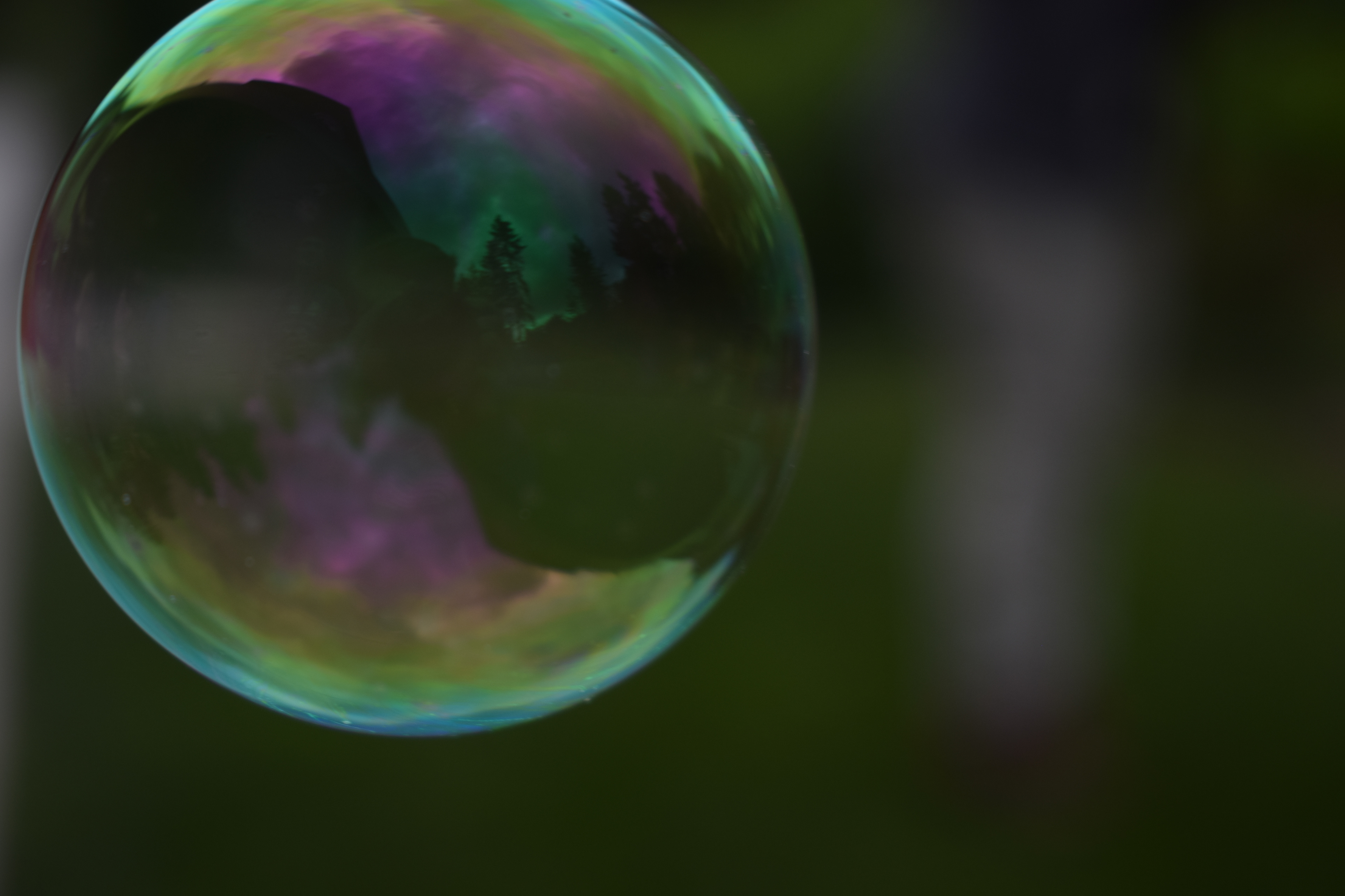 Bubbles, 2019