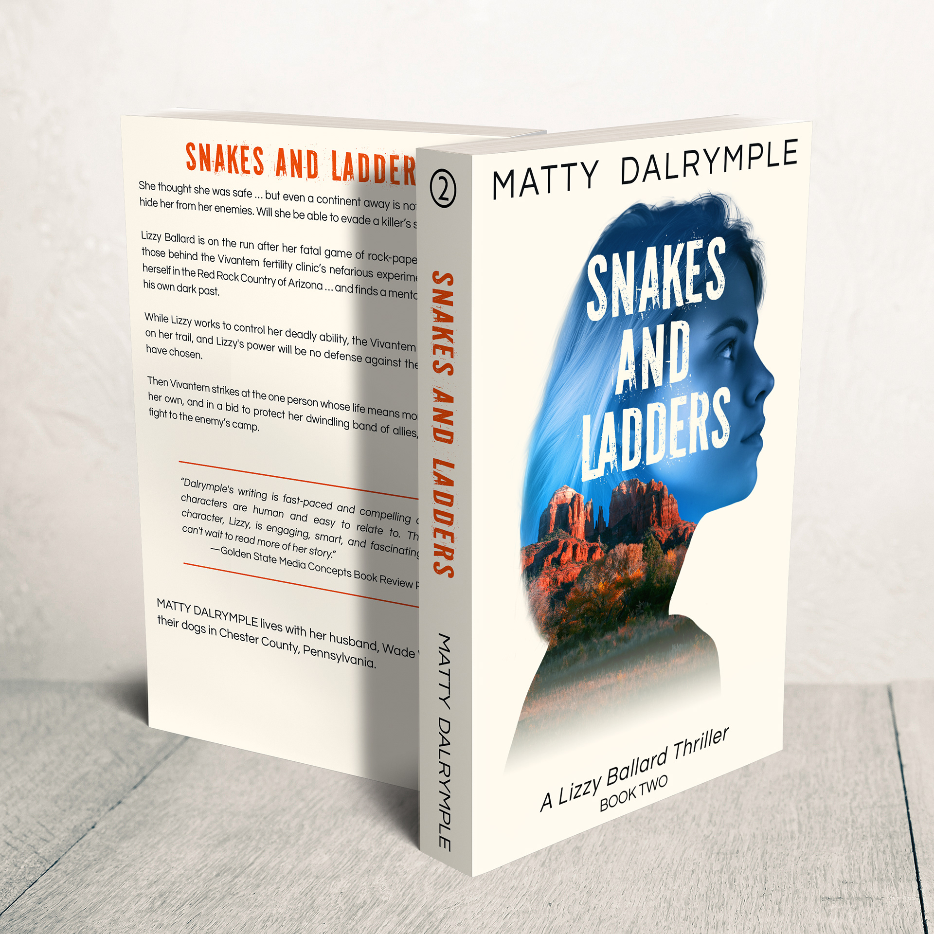 Print cover design for "Snakes and Ladders" by Matty Dalrymple