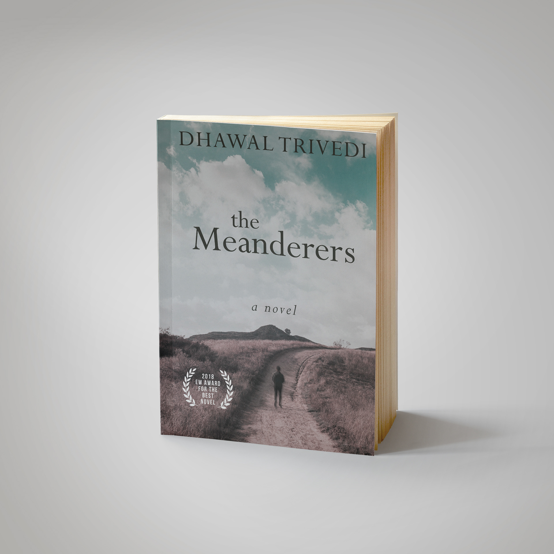 Book cover design for “The Meanderers” by Dhawal Trivedi