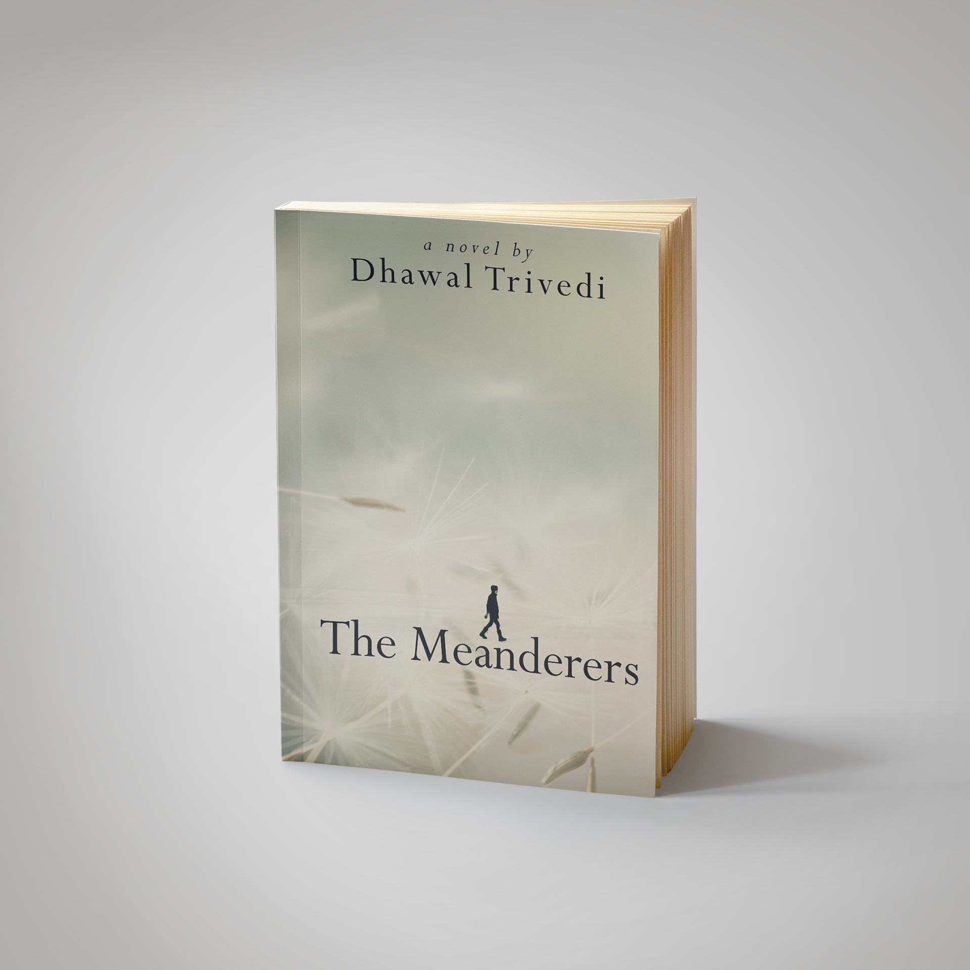 Alternate book cover design for “The Meanderers” by Dhawal Trivedi