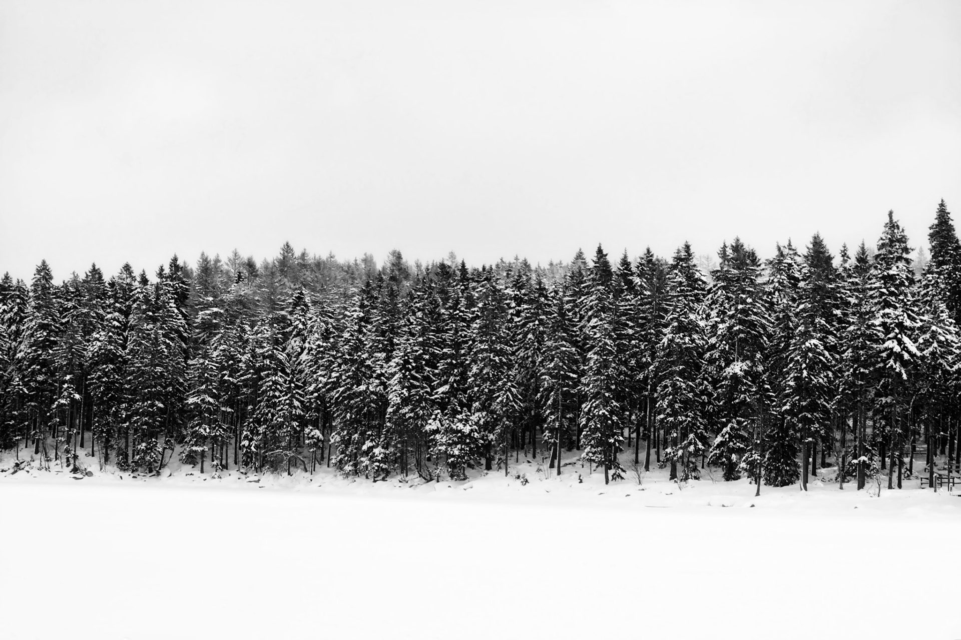 Harz 2