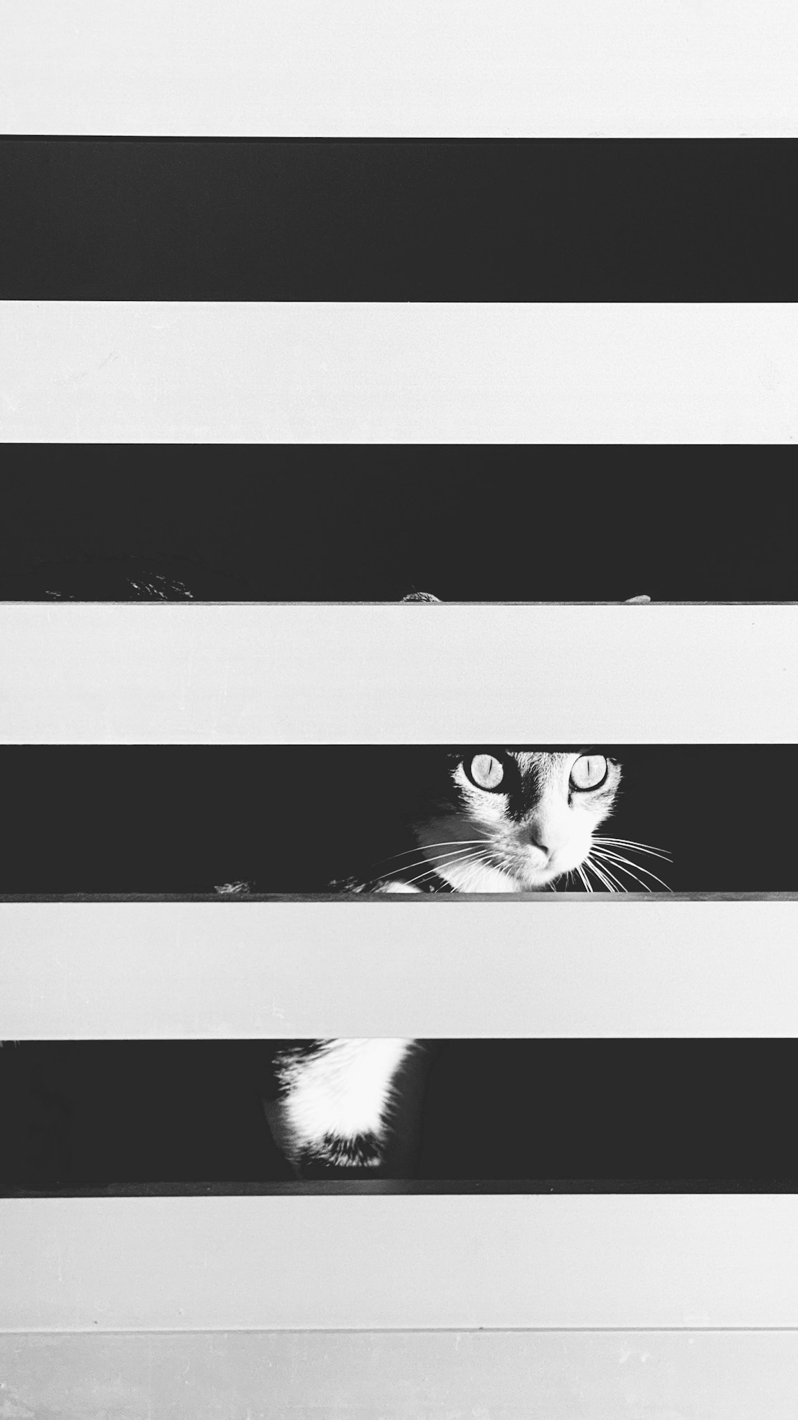 Processed with VSCO with 2 preset