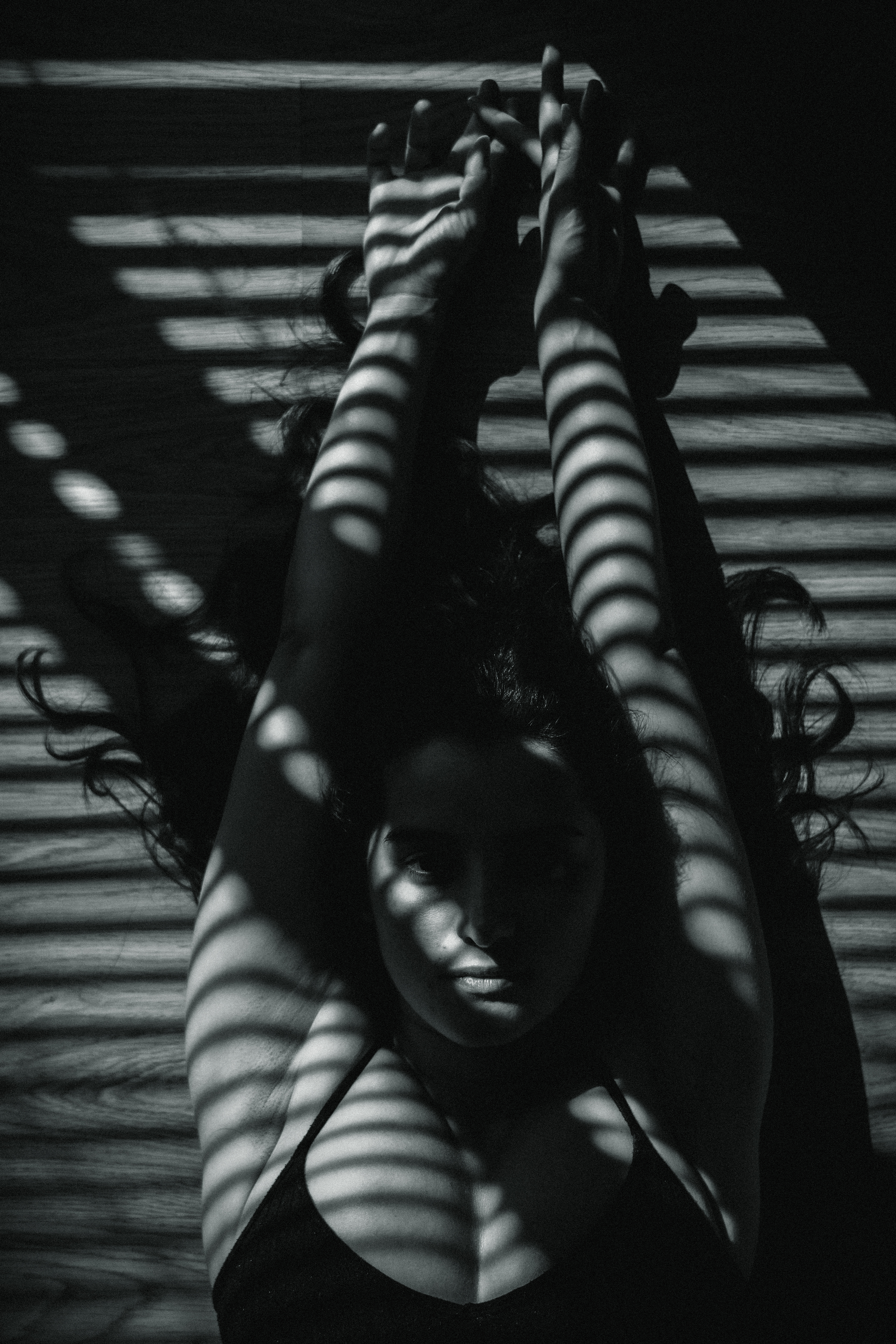 Blinds and Shades 