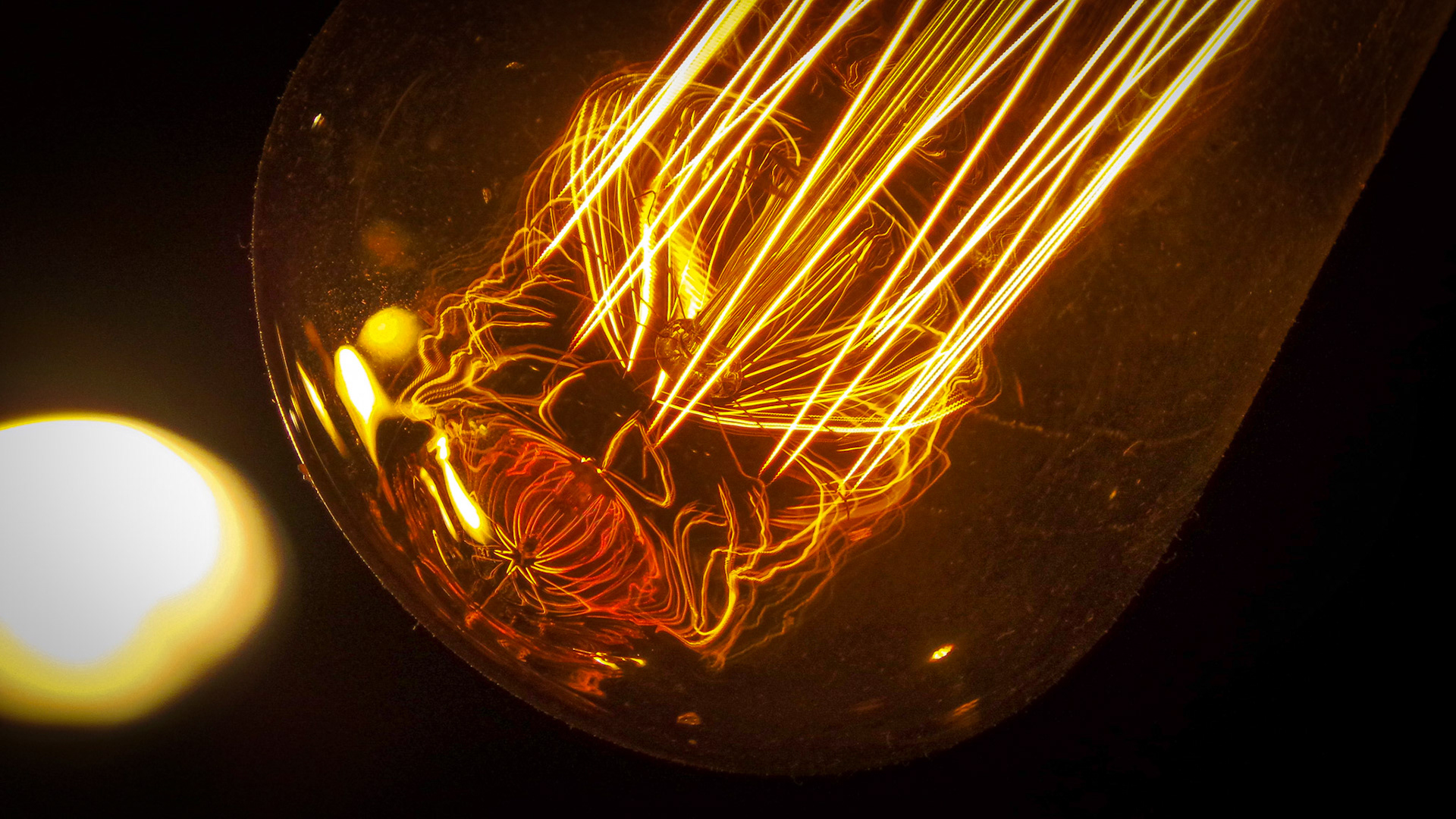 Light Bulb