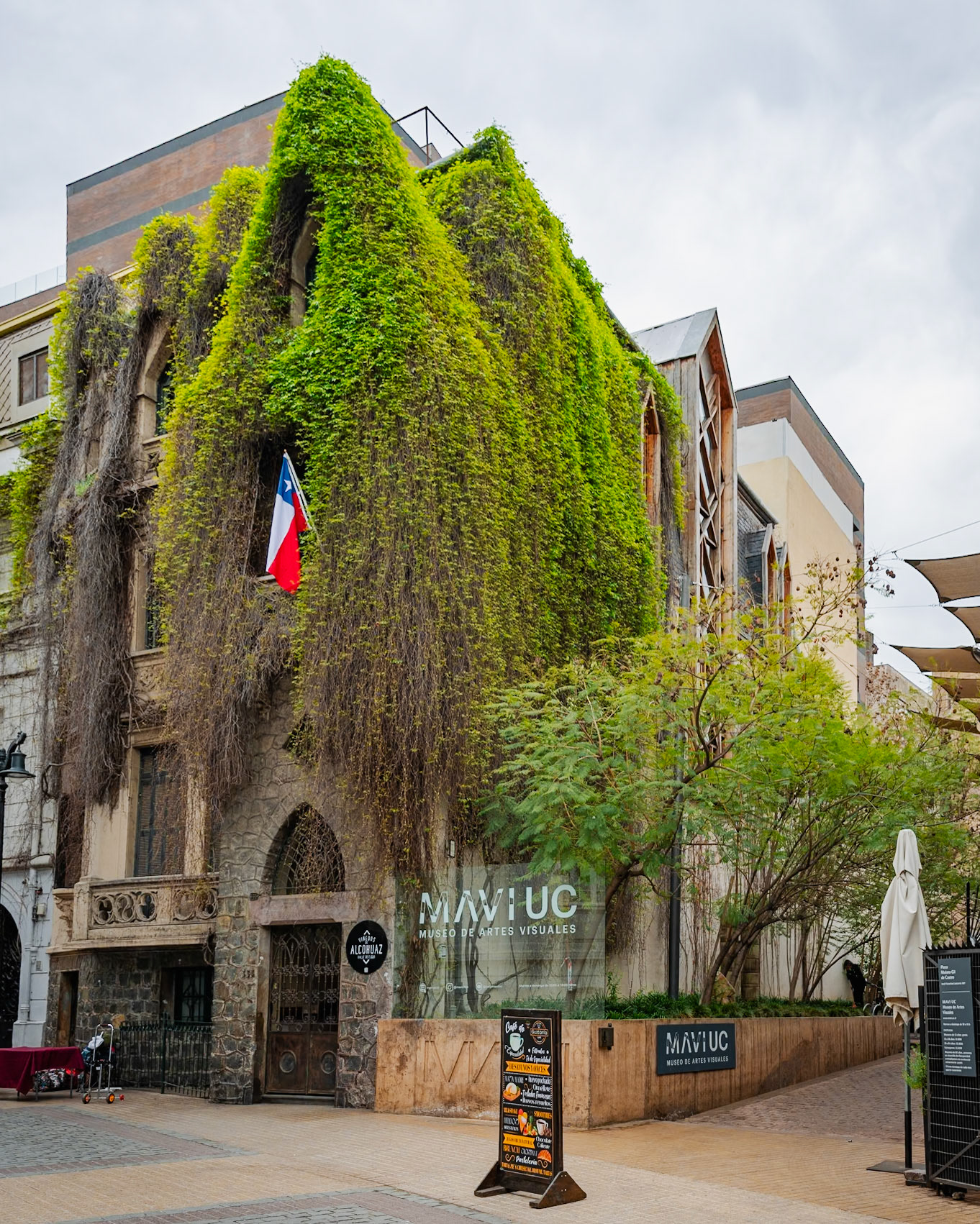 A Portal Among the Vines I
