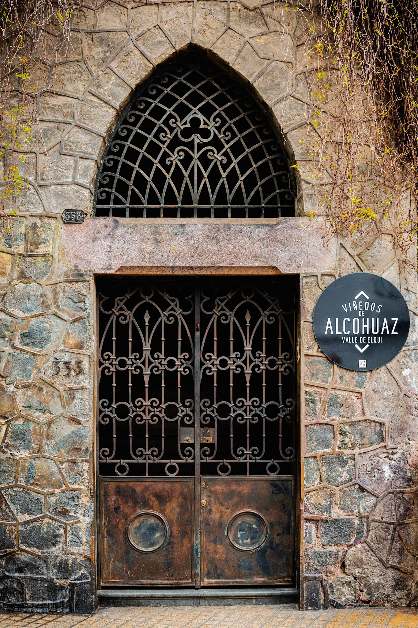 A Portal Among the Vines II