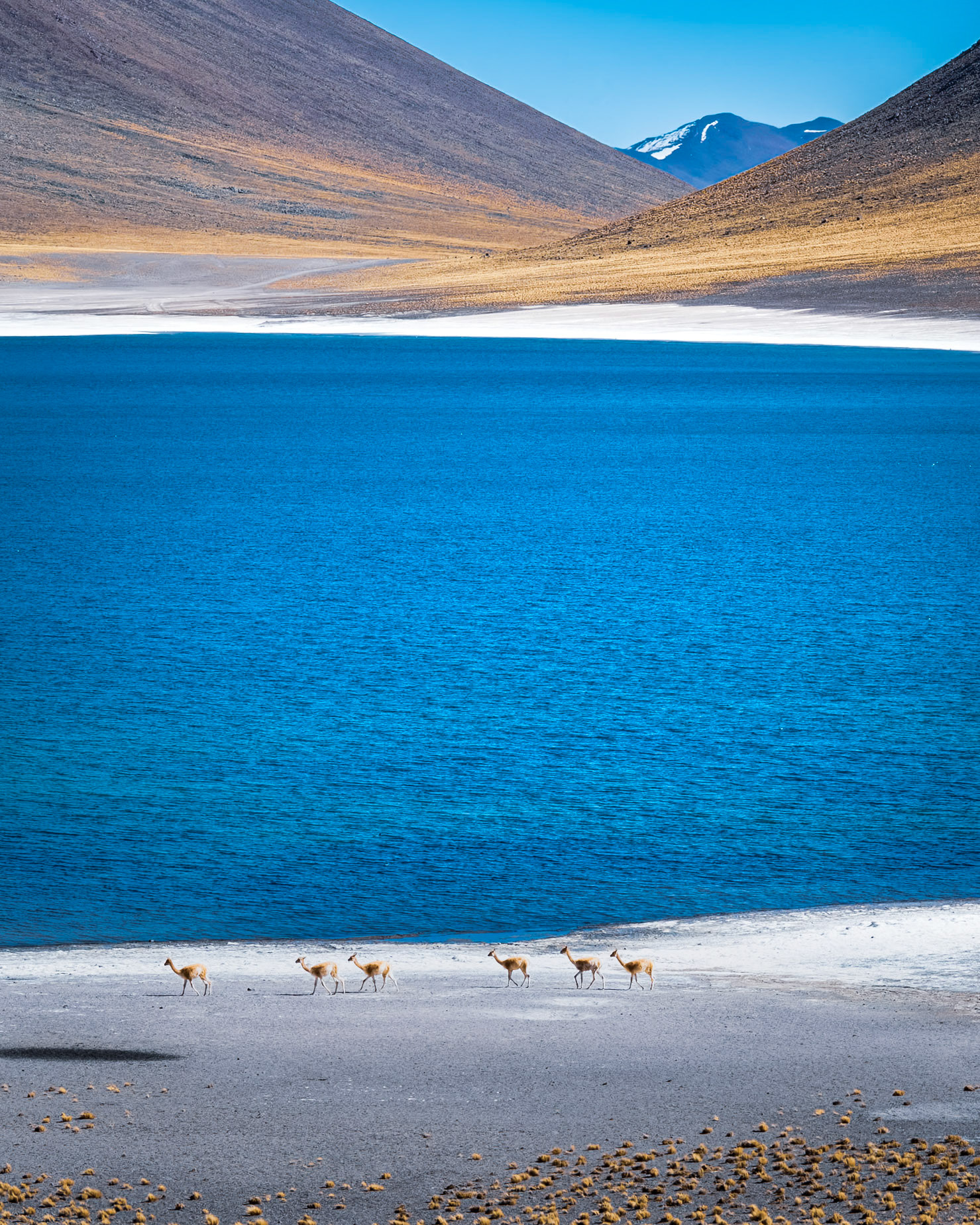 Where the Andes Touch the Sky