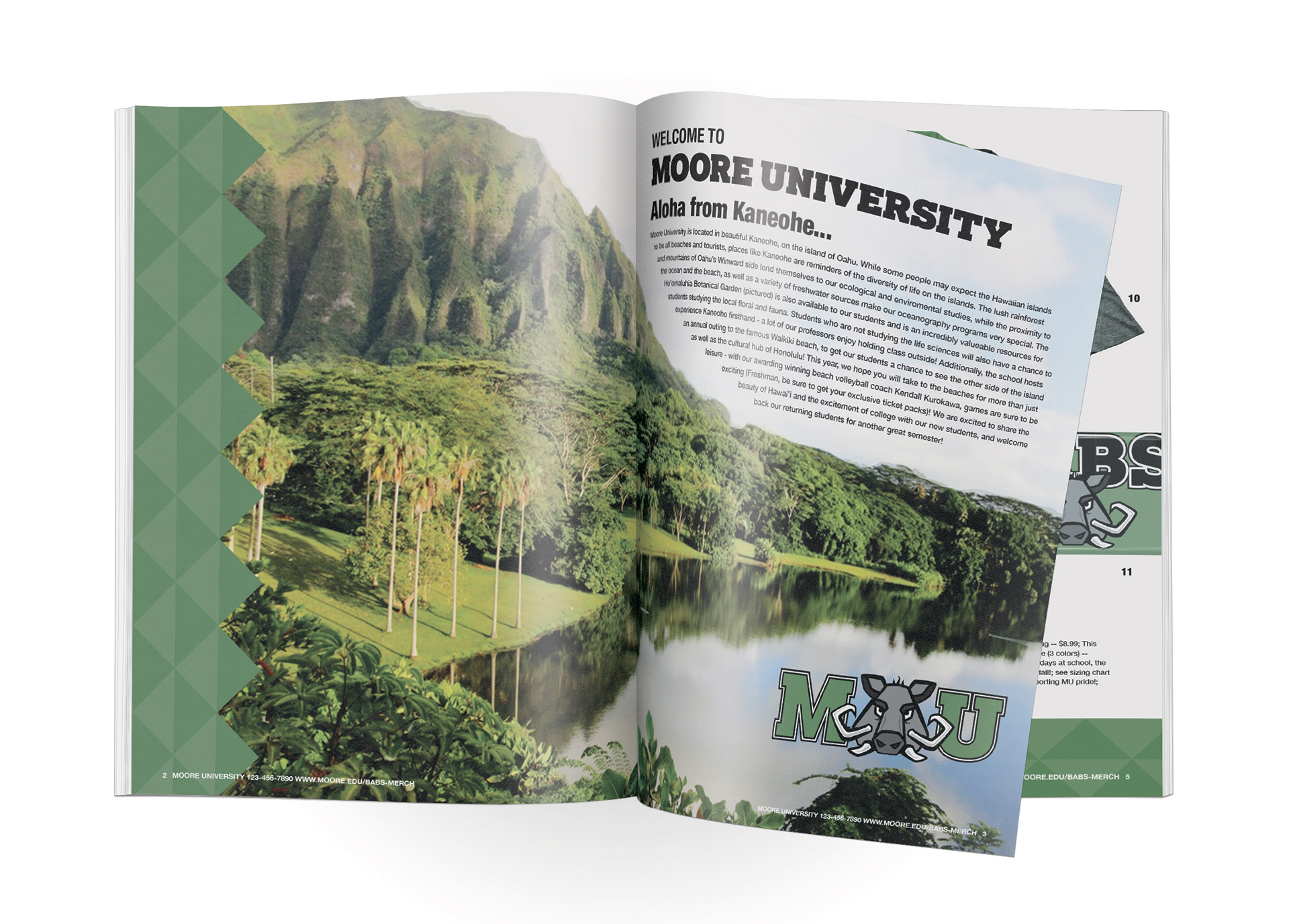 brochure layout 2