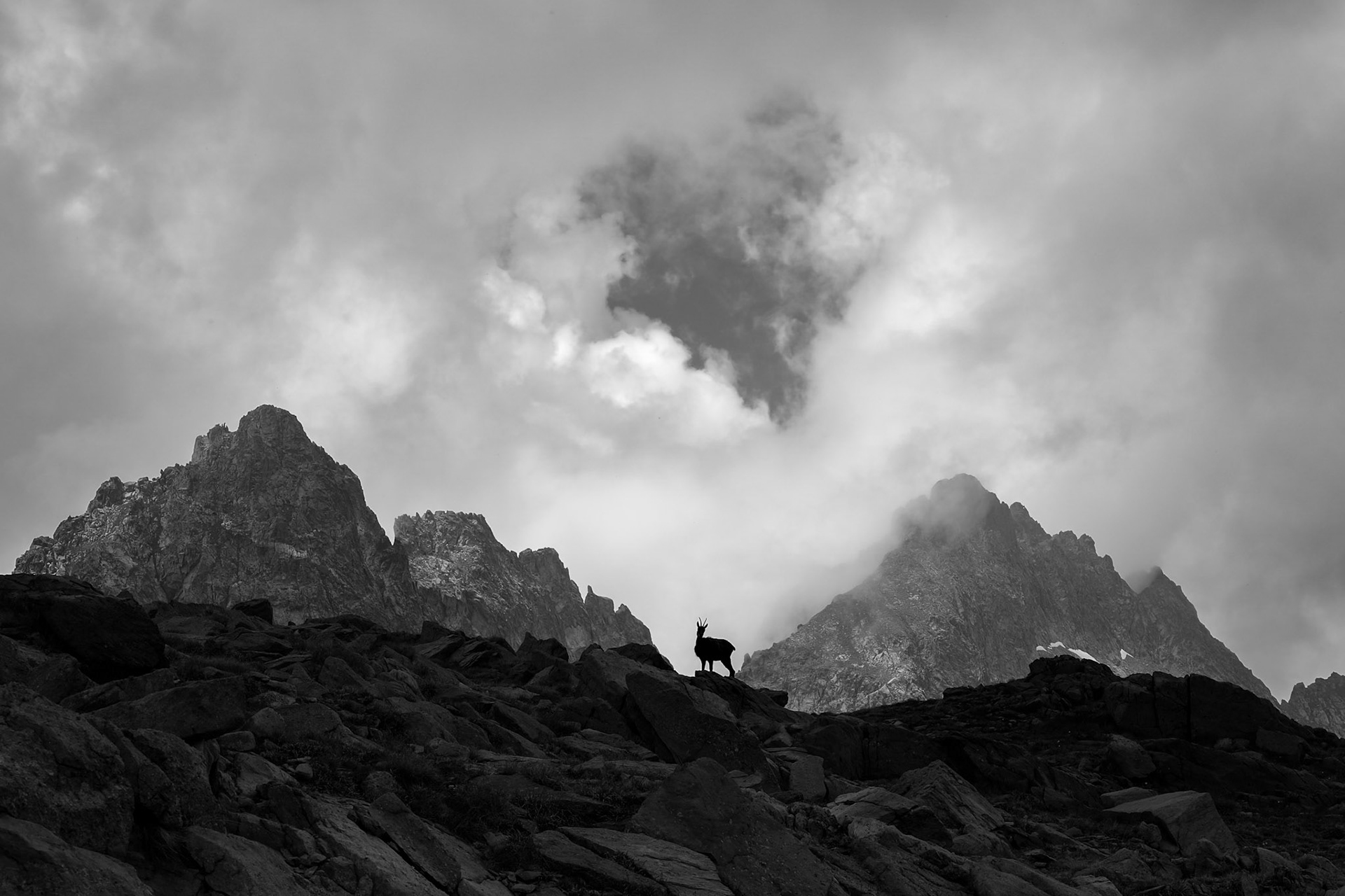 Mercantour - 2025