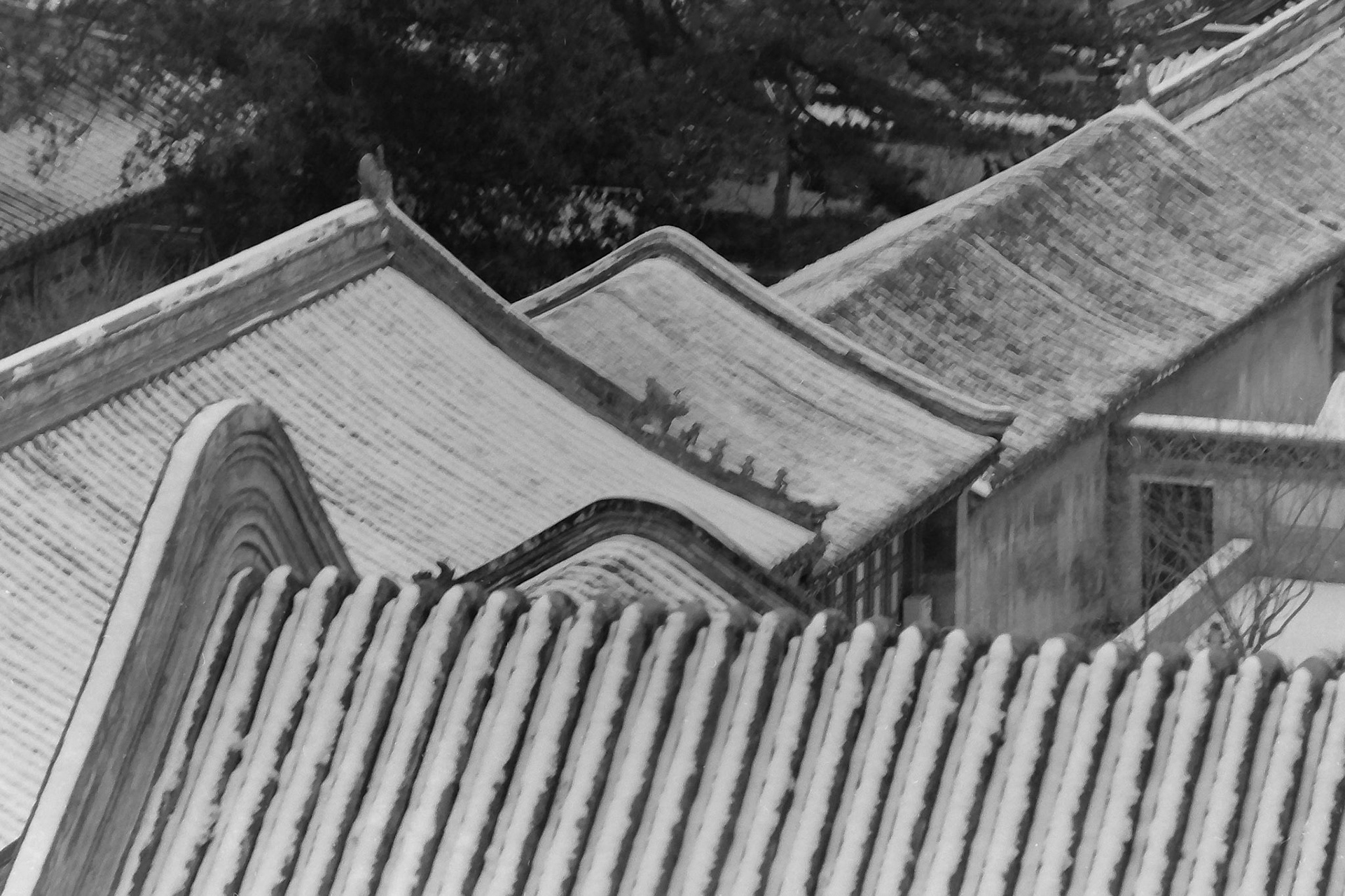 Tang Zhe Si - 1989