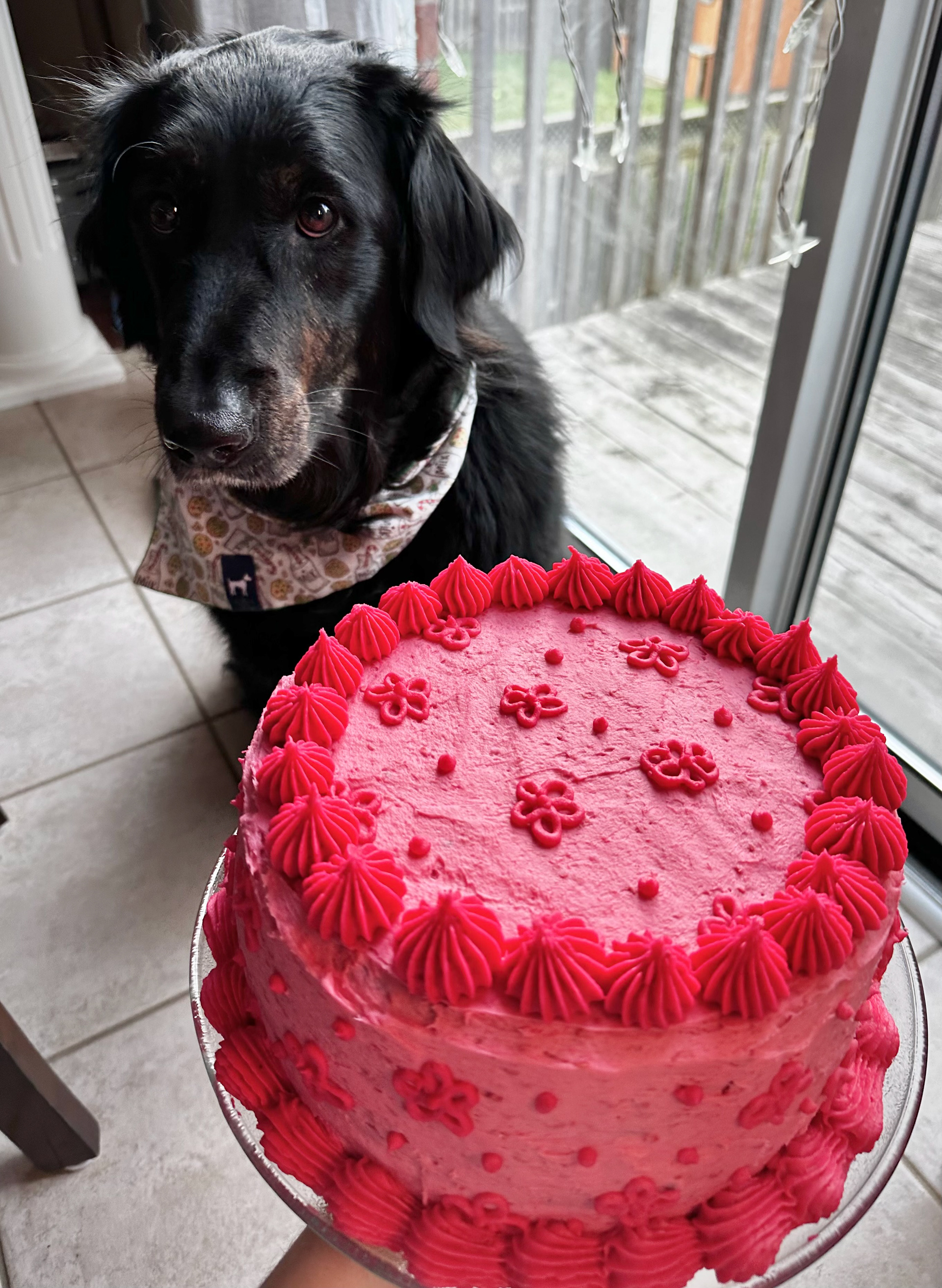 Raspberry & chocolate cake with raspberry buttercream icing.