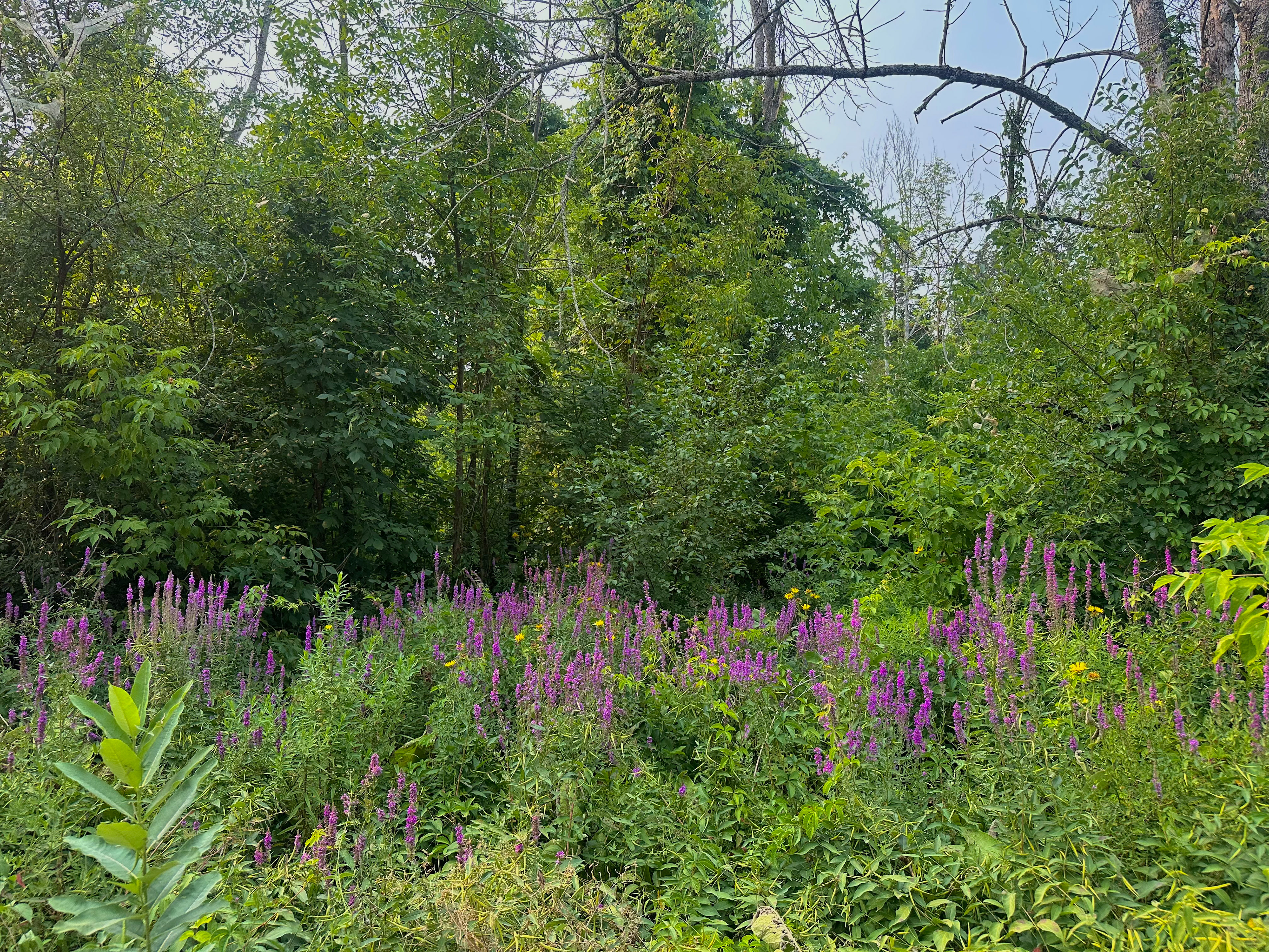 Ferris Provincial Park, ON