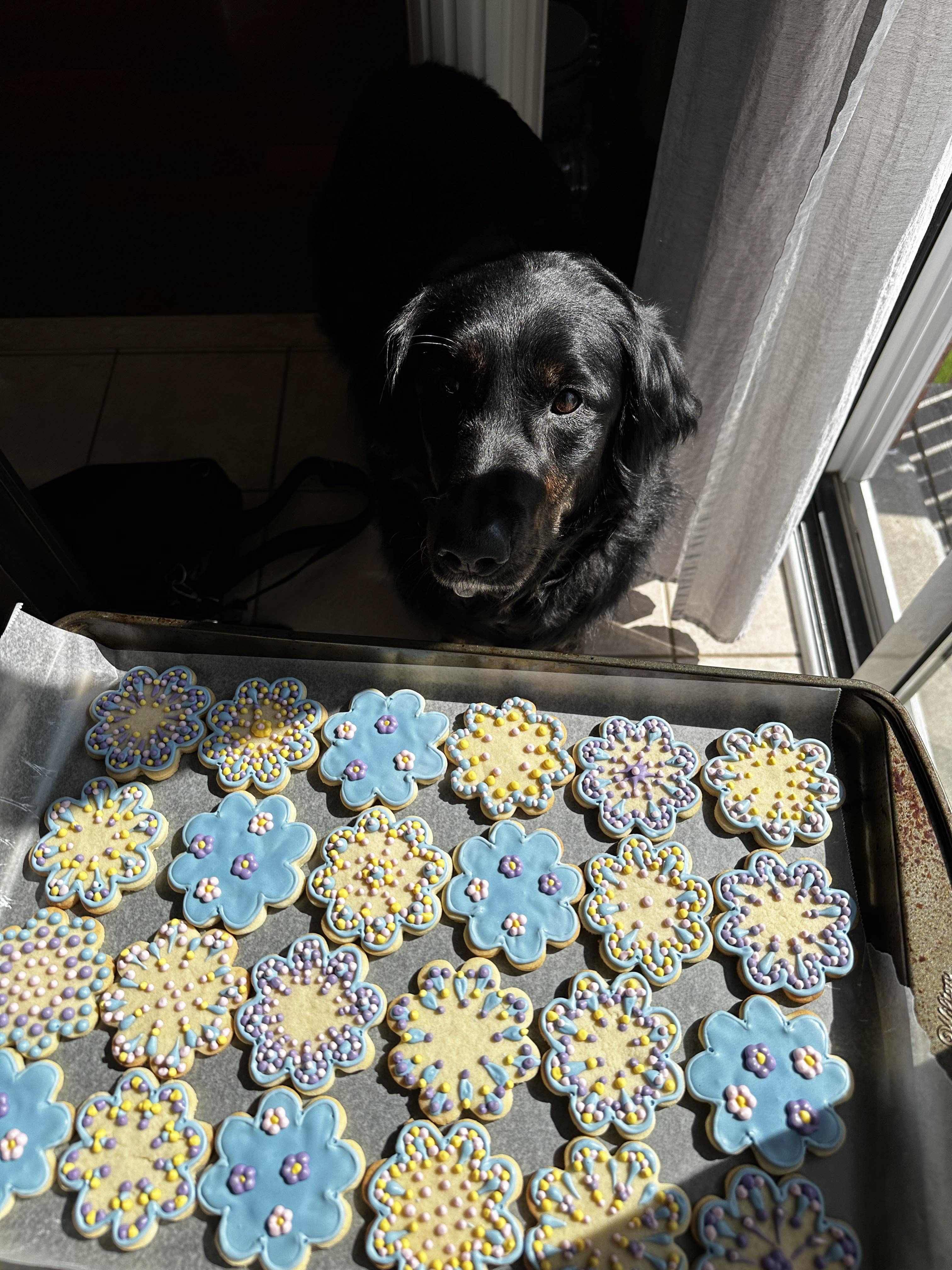Sugar cookies with royal icing designs.