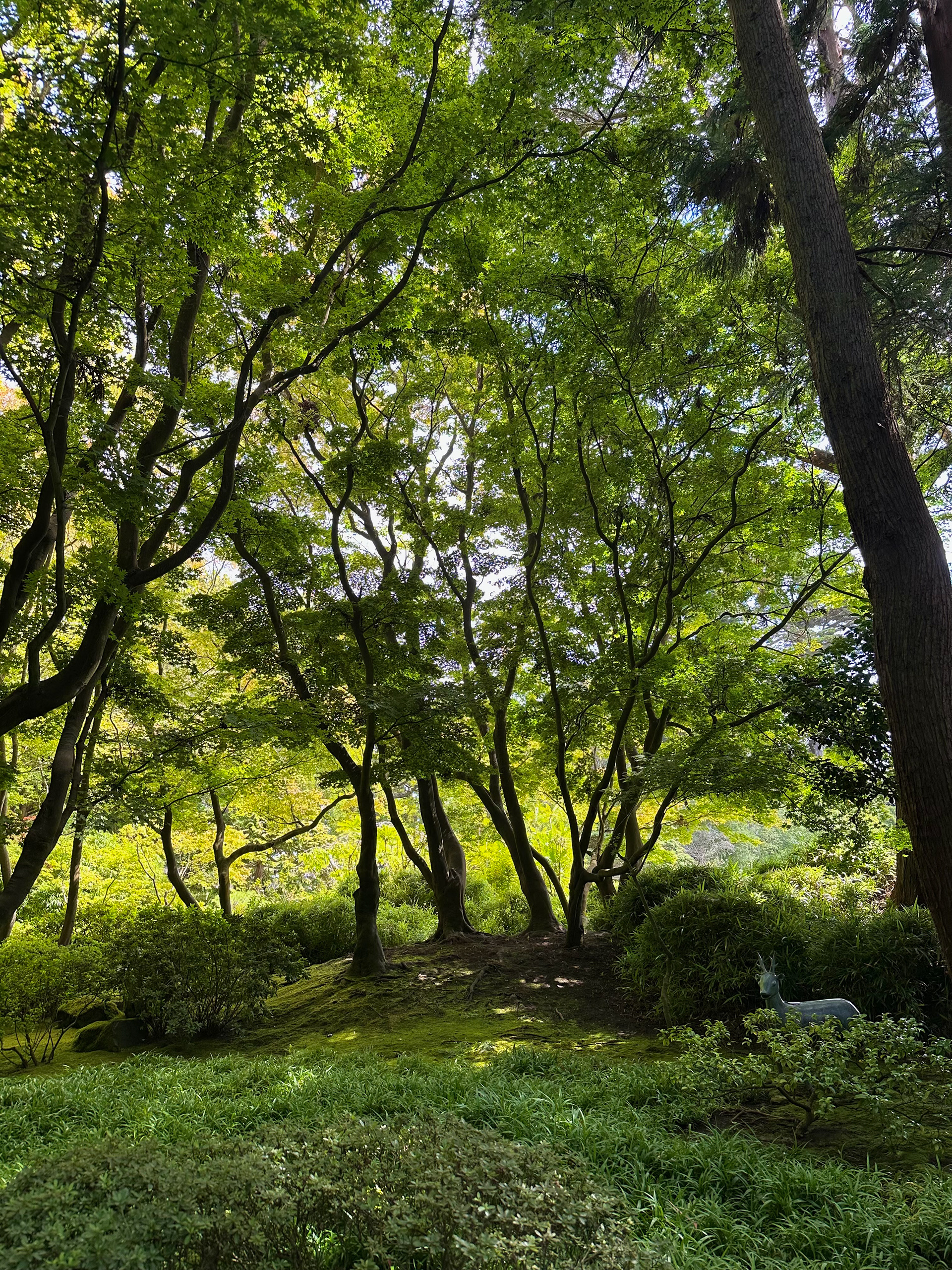 Golden Gate Park, CA