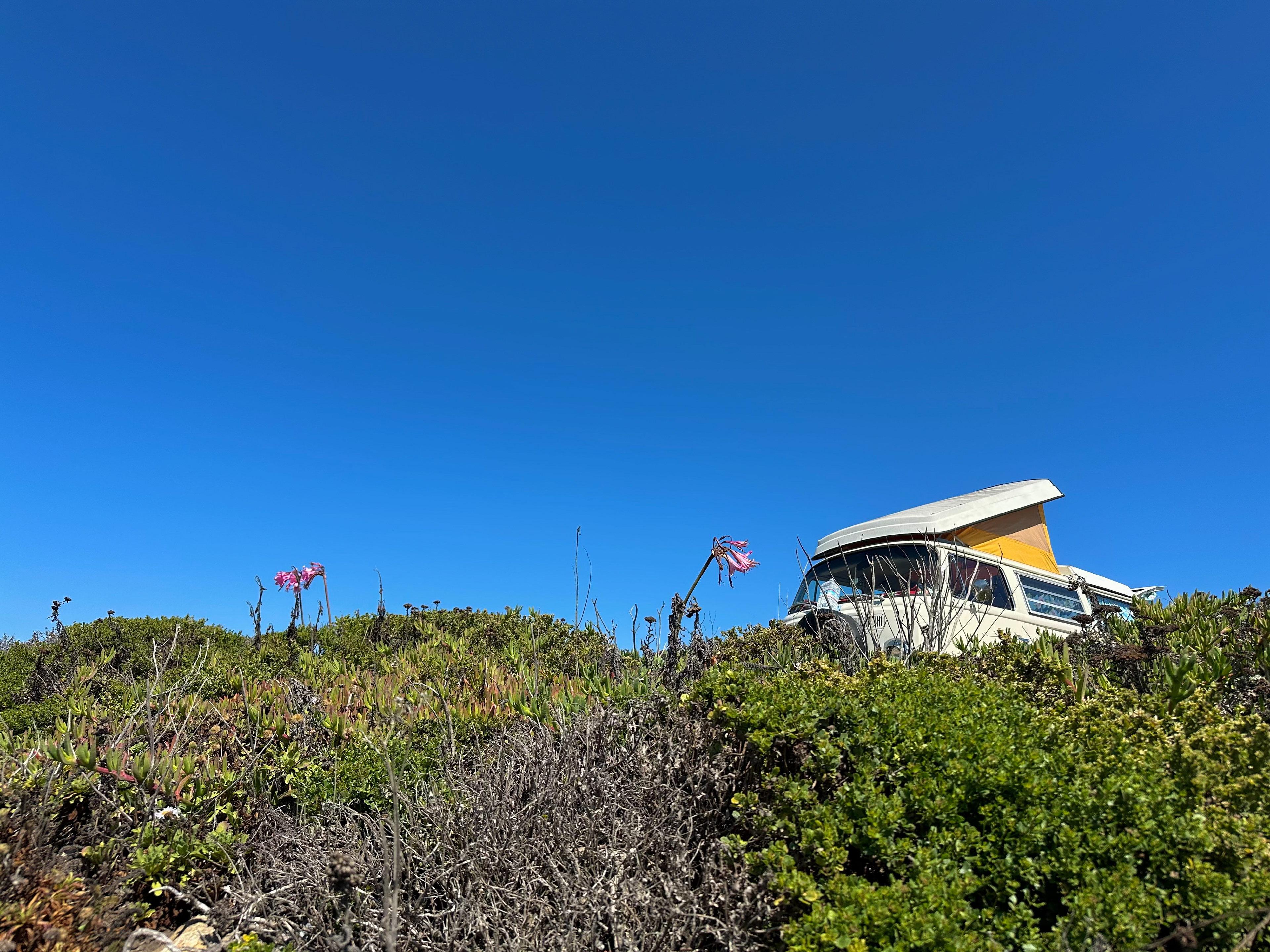 Pescadero Marsh Natural Preserve, CA