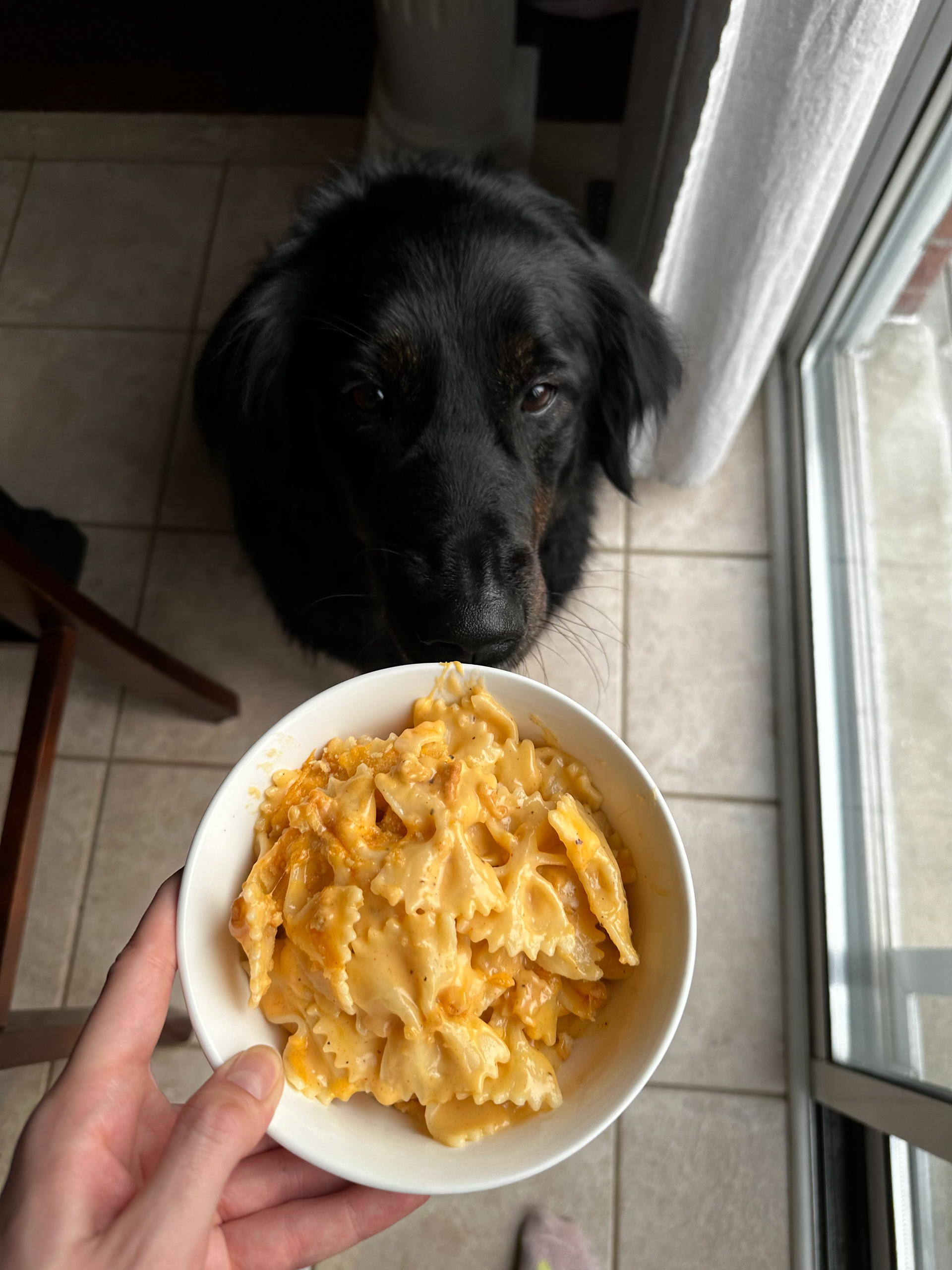 Mac & cheese from scratch.