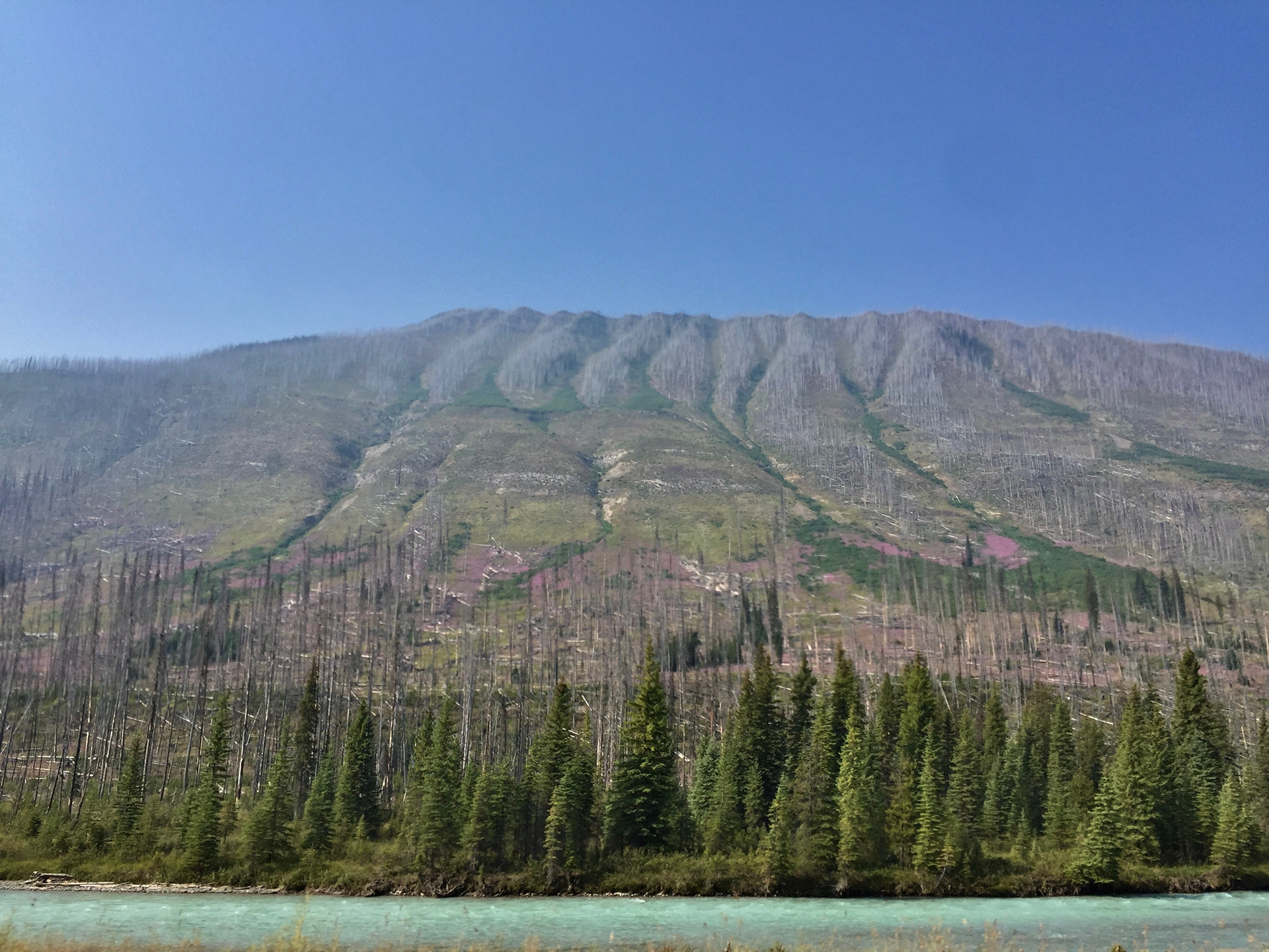 Kootenay National Park, BC