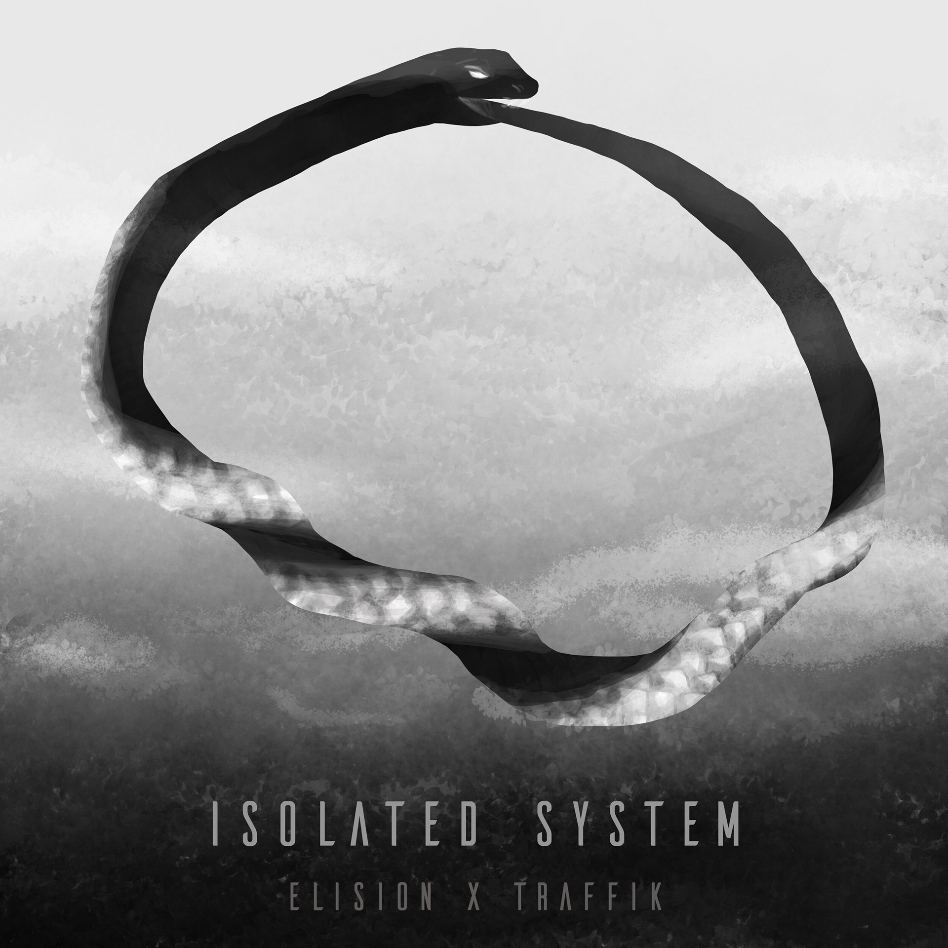Elision Album