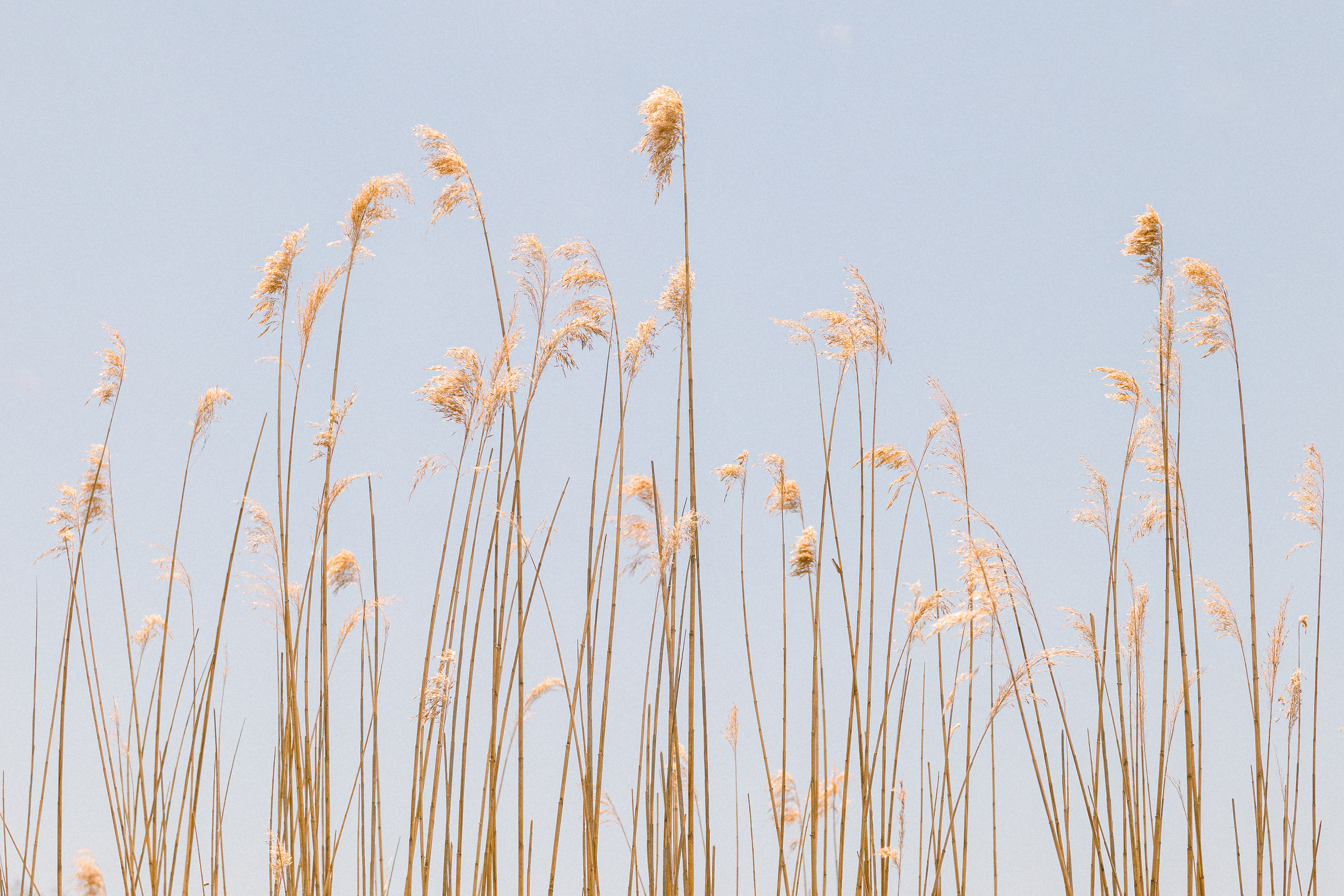 Photo by Jessica van der Marel