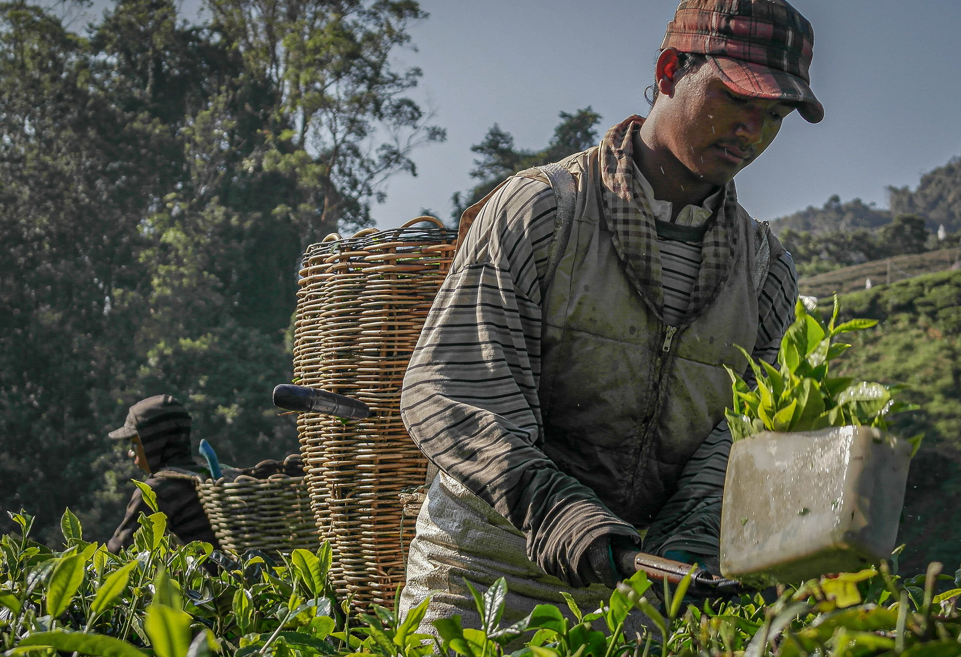 Photo by Jessica van der Marel