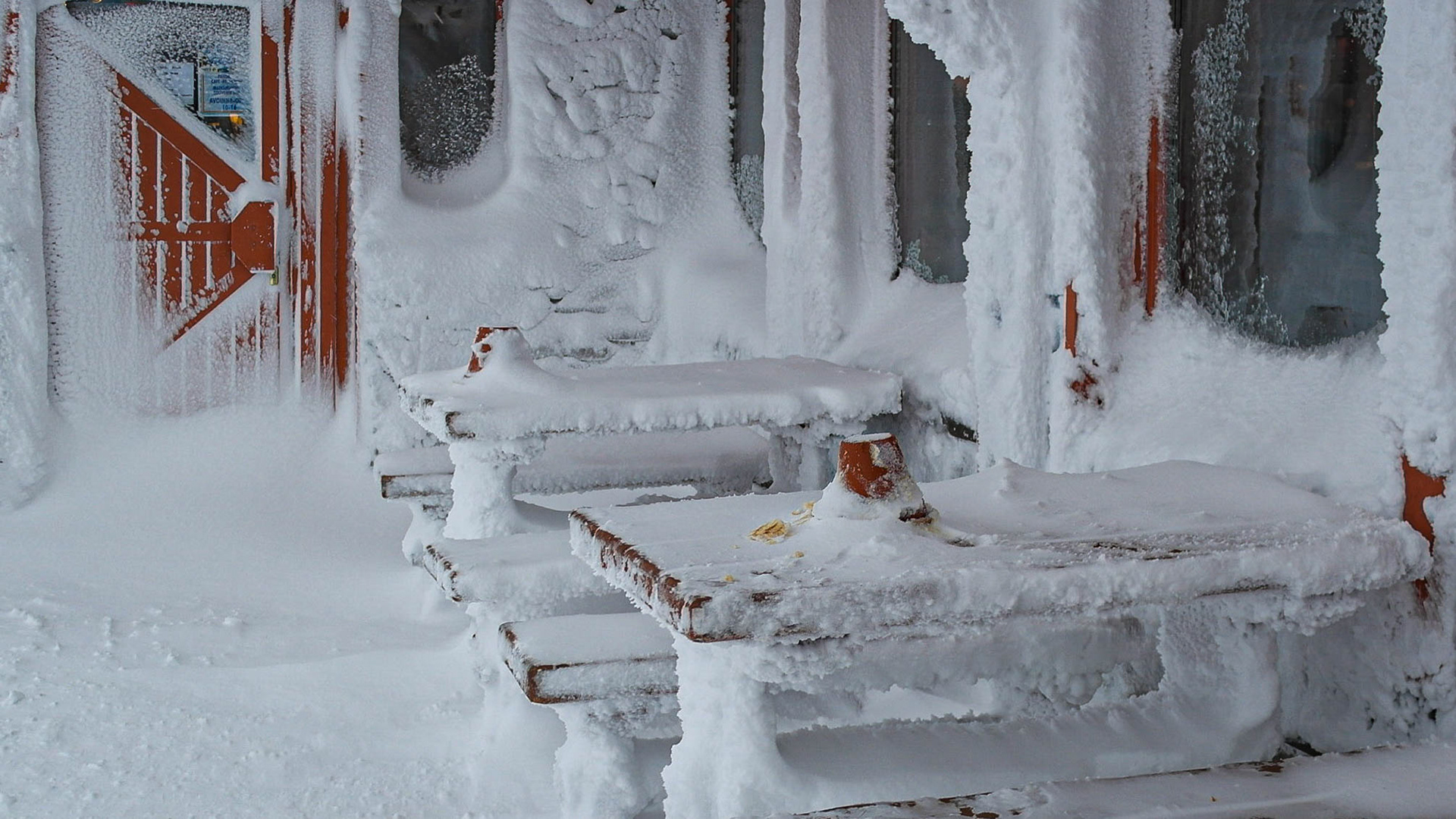 Photo by Jessica van der Marel